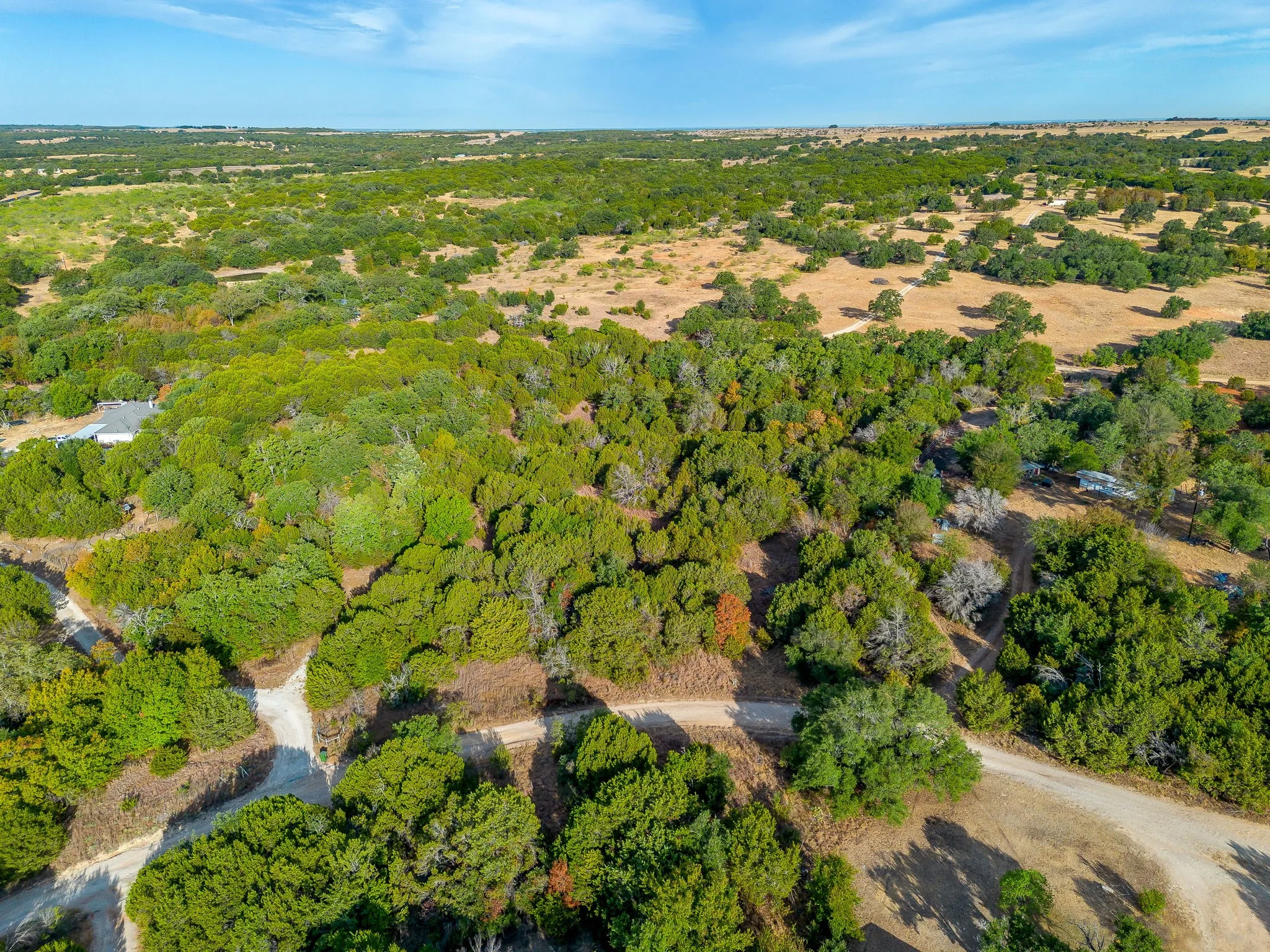 Expansive undeveloped land featuring mature trees, natural vegetation, and unpaved pathways