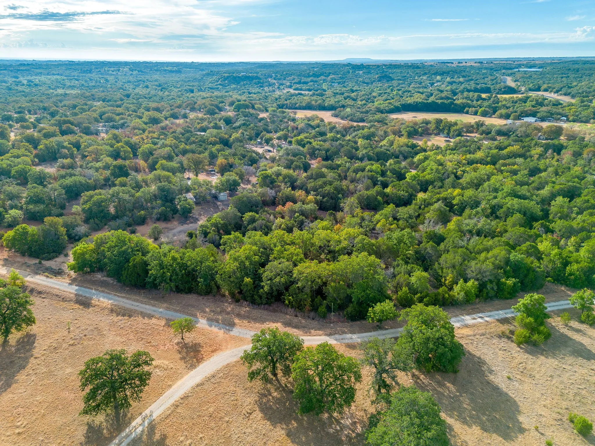 Expansive natural landscape featuring dense tree coverage