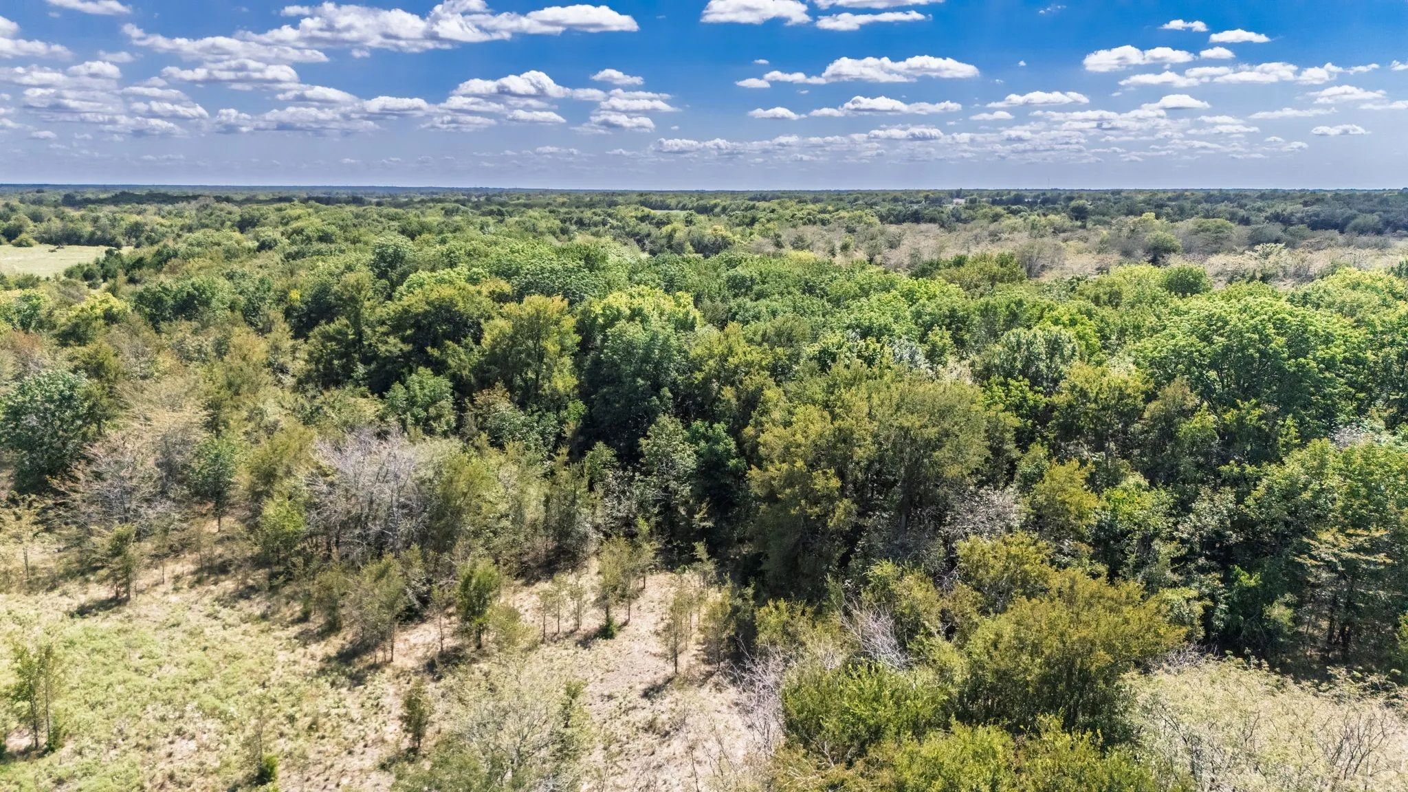 Unimproved Land For Sale in Hunt County , 7081 E Interstate 30, Campbell, Texas 75422, 0, 0, Garage spaces, 0 Sqft, built in 1979, mls#21392703, Real Estate Agent in Campbell, Homes For Sale in Hunt county, Homes For Sale in Campbell, Realtor in Campbell Texas, Real Estate Brokerage Independent Realty Texas, Luminita Cordes Realtor