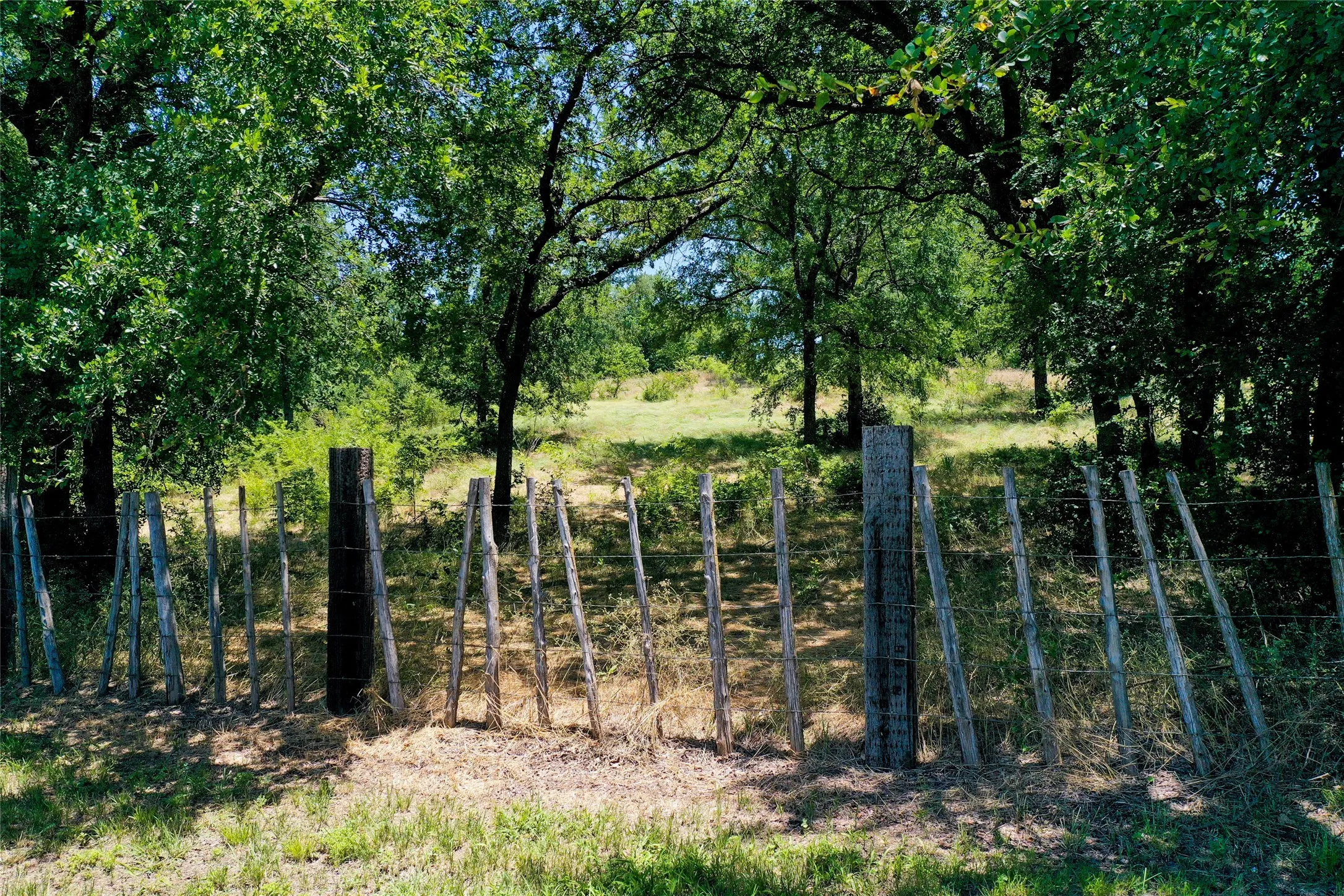 Unimproved Land For Sale in Cooke County , 1750 S Fm 372, Gainesville, Texas 76240, 0, 0, Garage spaces, 0 Sqft, built in 2022, mls#21392698, Real Estate Agent in Gainesville, Homes For Sale in Cooke county, Homes For Sale in Gainesville, Realtor in Gainesville Texas, Real Estate Brokerage Independent Realty Texas, Luminita Cordes Realtor