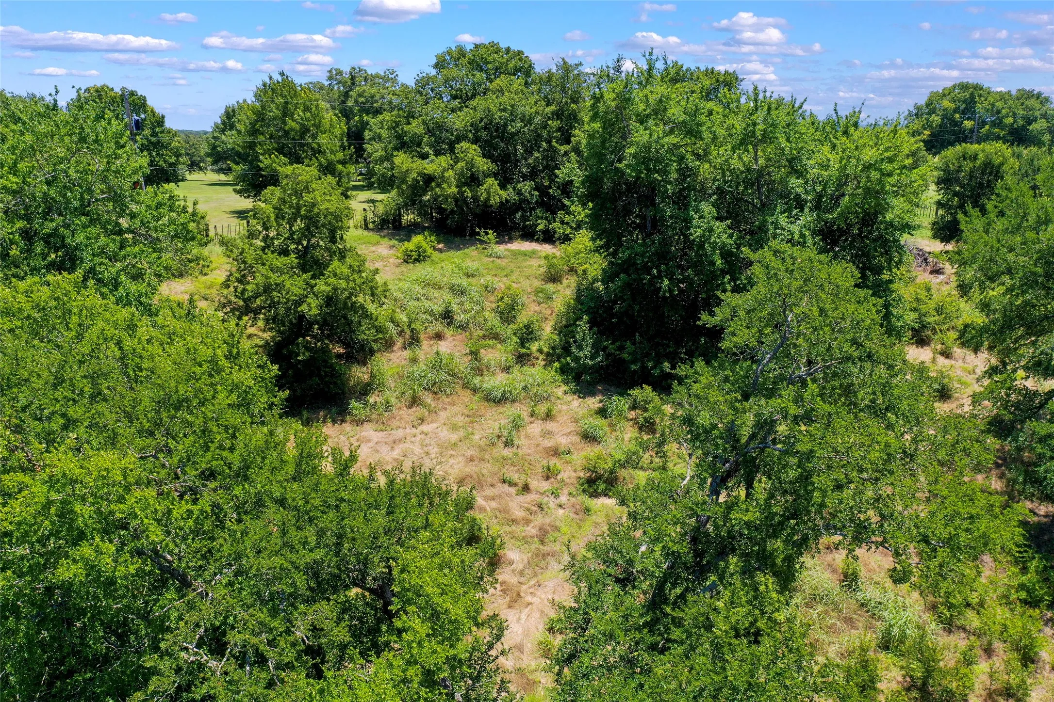 Unimproved Land For Sale in Cooke County , 1750 S Fm 372, Gainesville, Texas 76240, 0, 0, Garage spaces, 0 Sqft, built in 2022, mls#21392698, Real Estate Agent in Gainesville, Homes For Sale in Cooke county, Homes For Sale in Gainesville, Realtor in Gainesville Texas, Real Estate Brokerage Independent Realty Texas, Luminita Cordes Realtor