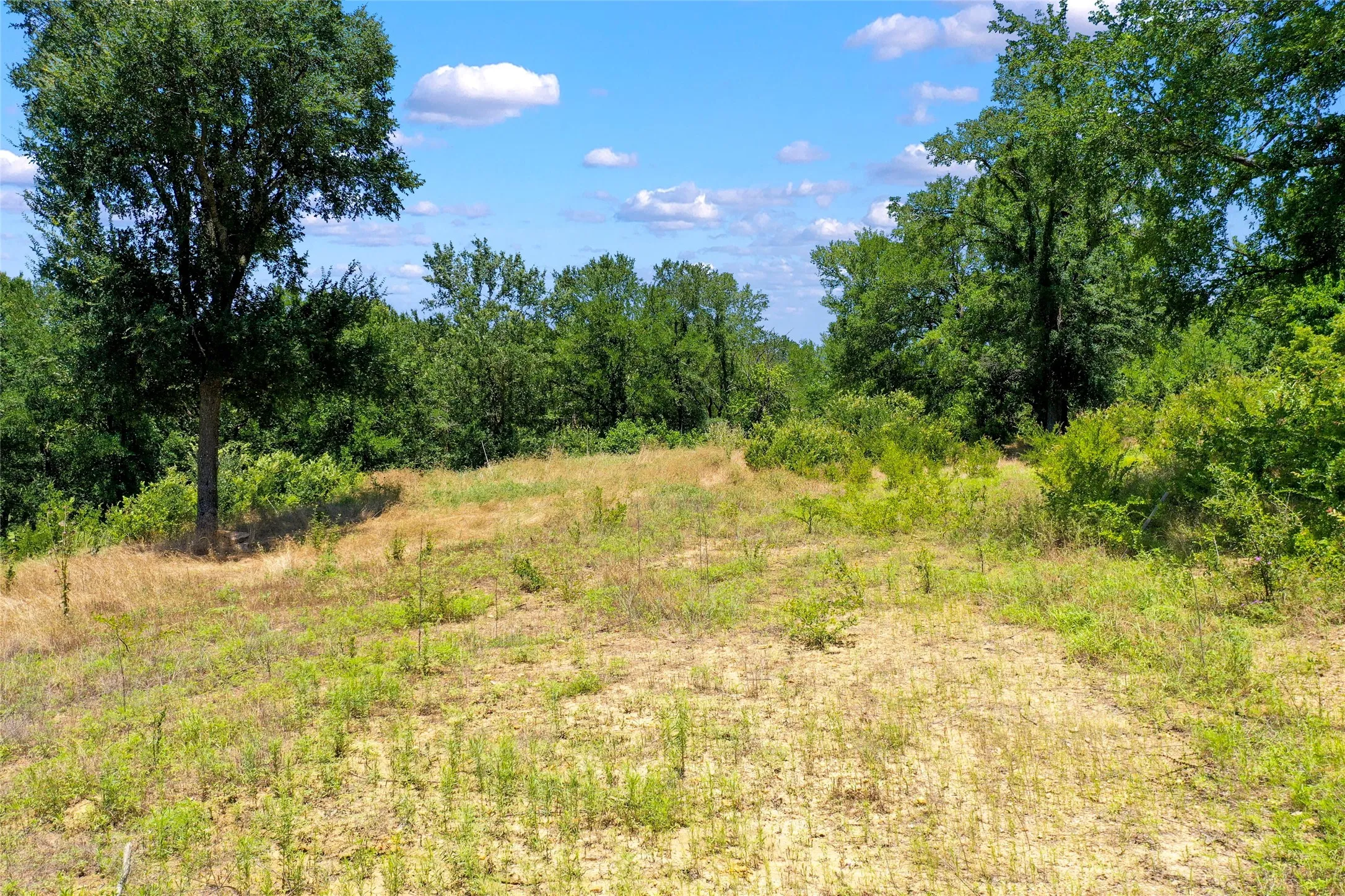 Unimproved Land For Sale in Cooke County , 1750 S Fm 372, Gainesville, Texas 76240, 0, 0, Garage spaces, 0 Sqft, built in 2022, mls#21392698, Real Estate Agent in Gainesville, Homes For Sale in Cooke county, Homes For Sale in Gainesville, Realtor in Gainesville Texas, Real Estate Brokerage Independent Realty Texas, Luminita Cordes Realtor