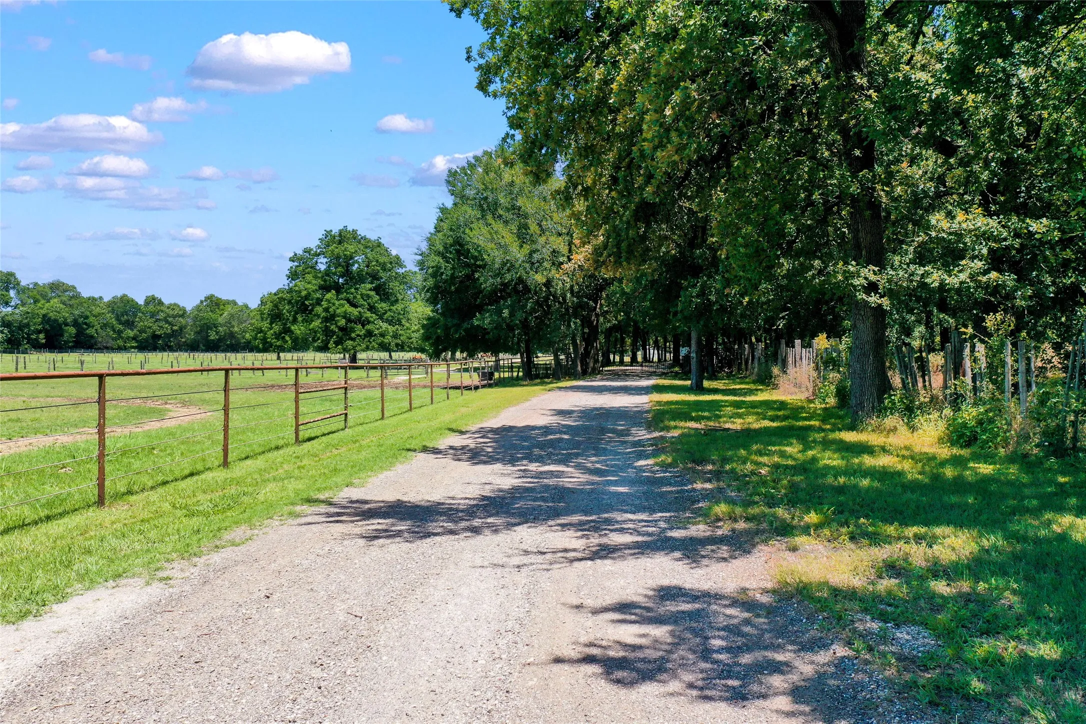 Unimproved Land For Sale in Cooke County , 1750 S Fm 372, Gainesville, Texas 76240, 0, 0, Garage spaces, 0 Sqft, built in 2022, mls#21392698, Real Estate Agent in Gainesville, Homes For Sale in Cooke county, Homes For Sale in Gainesville, Realtor in Gainesville Texas, Real Estate Brokerage Independent Realty Texas, Luminita Cordes Realtor