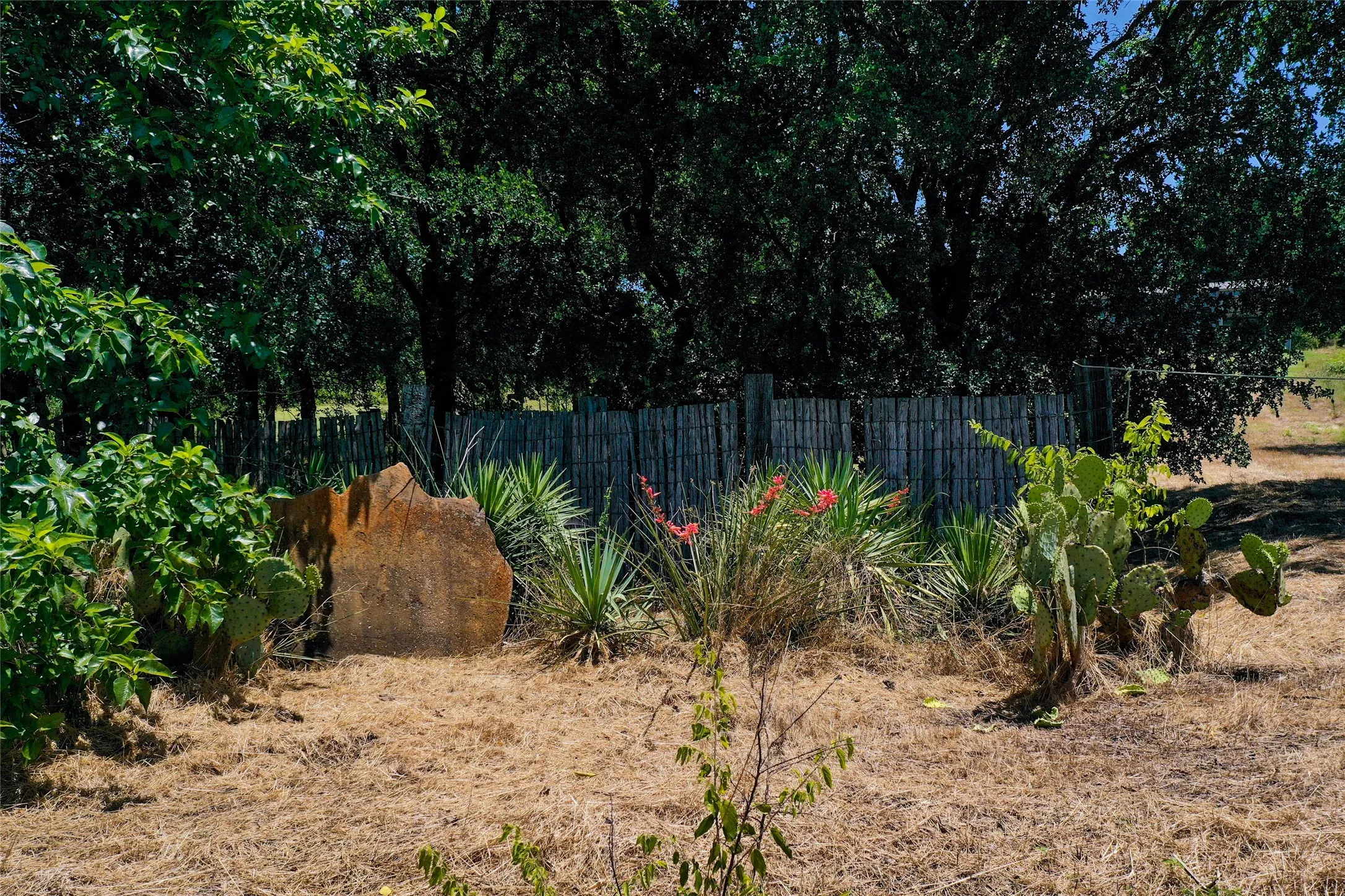 Unimproved Land For Sale in Cooke County , 1750 S Fm 372, Gainesville, Texas 76240, 0, 0, Garage spaces, 0 Sqft, built in 2022, mls#21392698, Real Estate Agent in Gainesville, Homes For Sale in Cooke county, Homes For Sale in Gainesville, Realtor in Gainesville Texas, Real Estate Brokerage Independent Realty Texas, Luminita Cordes Realtor