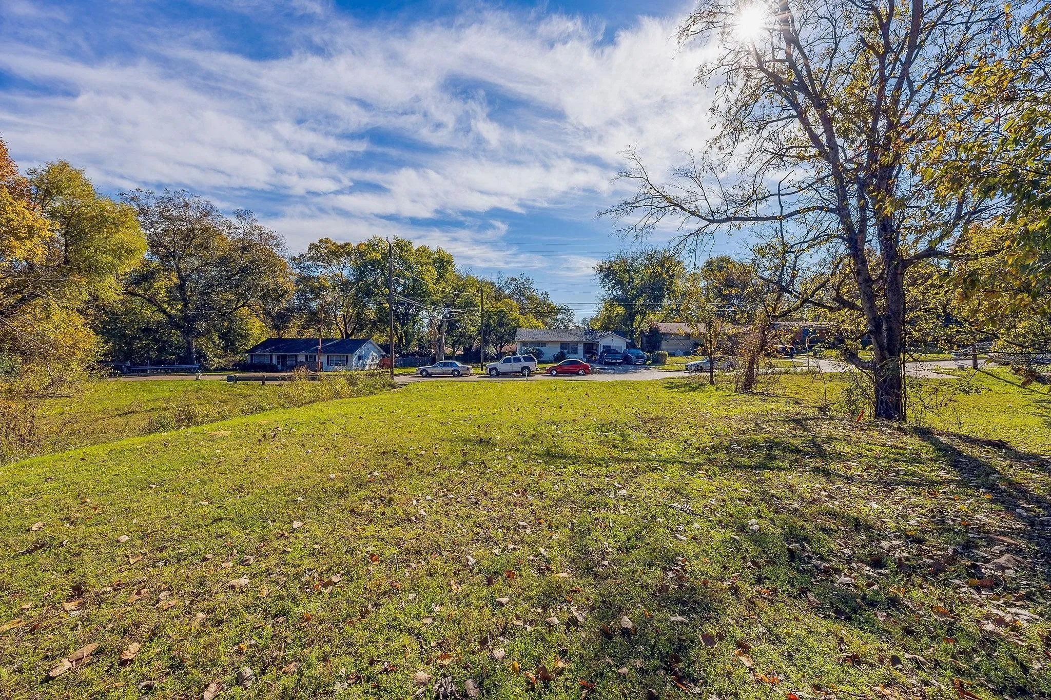 Expansive grassy lot featuring mature trees and a sunny disposition