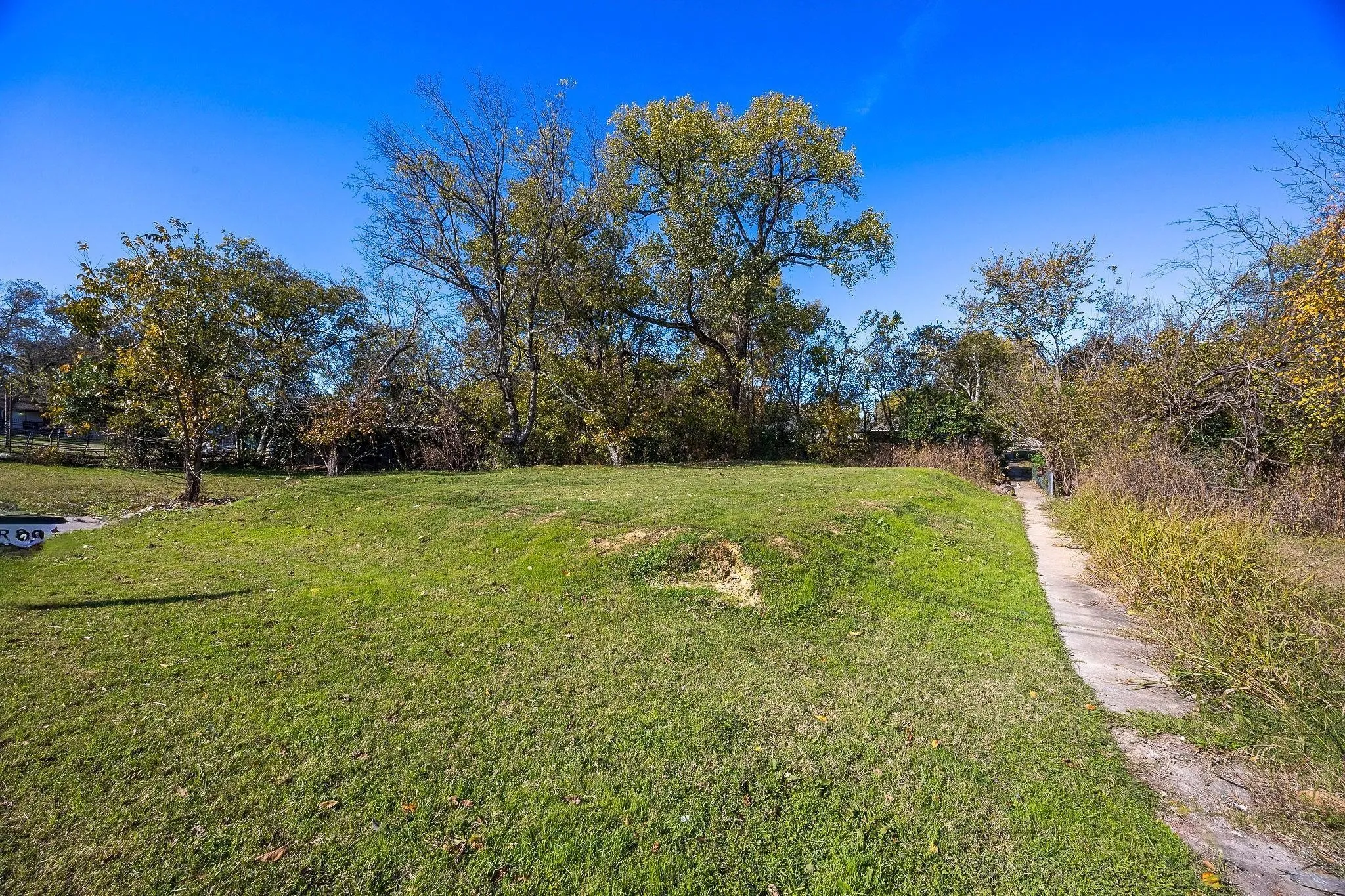Expansive grassy area with mature trees and a concrete pathway