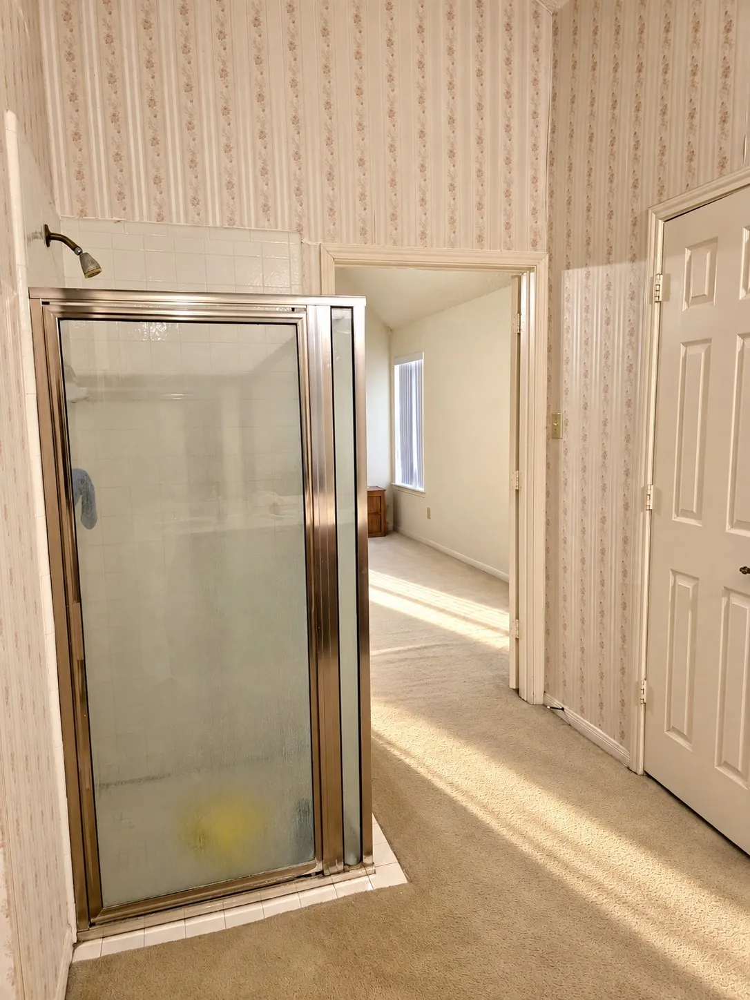Enclosed shower with glass and metal frame, wall-mounted shower head, and tile surround. VIRTUALLY DECLUTTERED USING AI