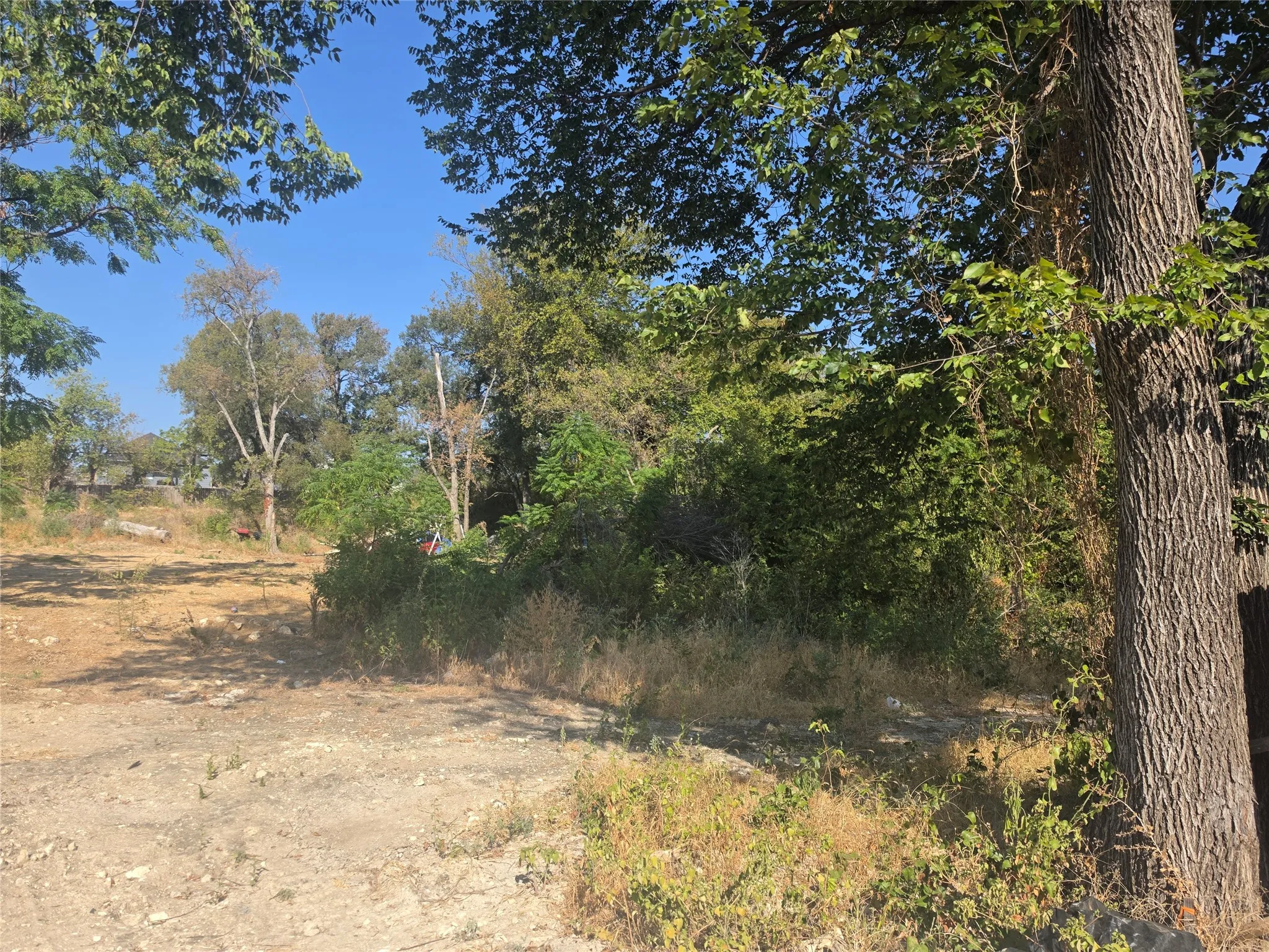 Expansive lot featuring mature trees and a clear blue sky