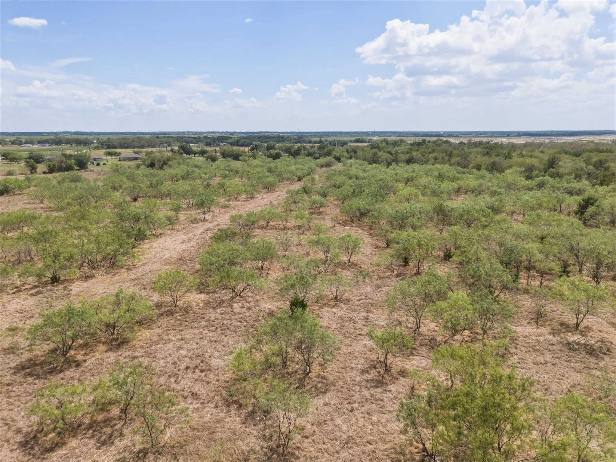 Unimproved Land For Sale in Kaufman County , TBD I-20, Terrell, Texas 75160, 0, 0, Garage spaces, 0 Sqft, built in 0, mls#21392566, Real Estate Agent in Terrell, Homes For Sale in Kaufman county, Homes For Sale in Terrell, Realtor in Terrell Texas, Real Estate Brokerage Independent Realty Texas, Luminita Cordes Realtor