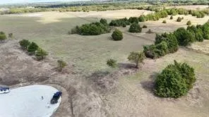 Expansive undeveloped land featuring mature trees and a newly paved cul-de-sac