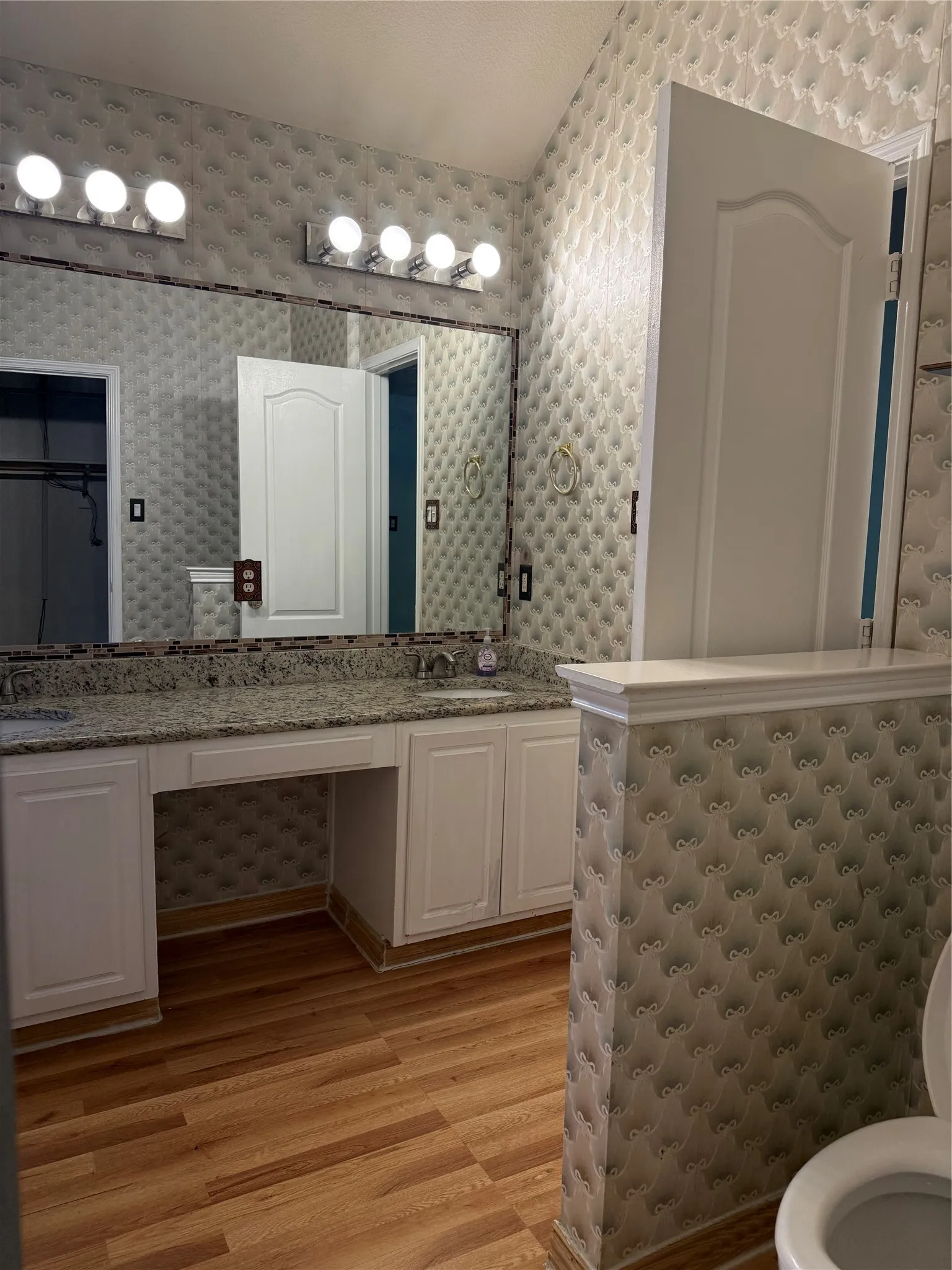 Dual vanity with integrated sinks, granite-style countertop, and wood-finish flooring