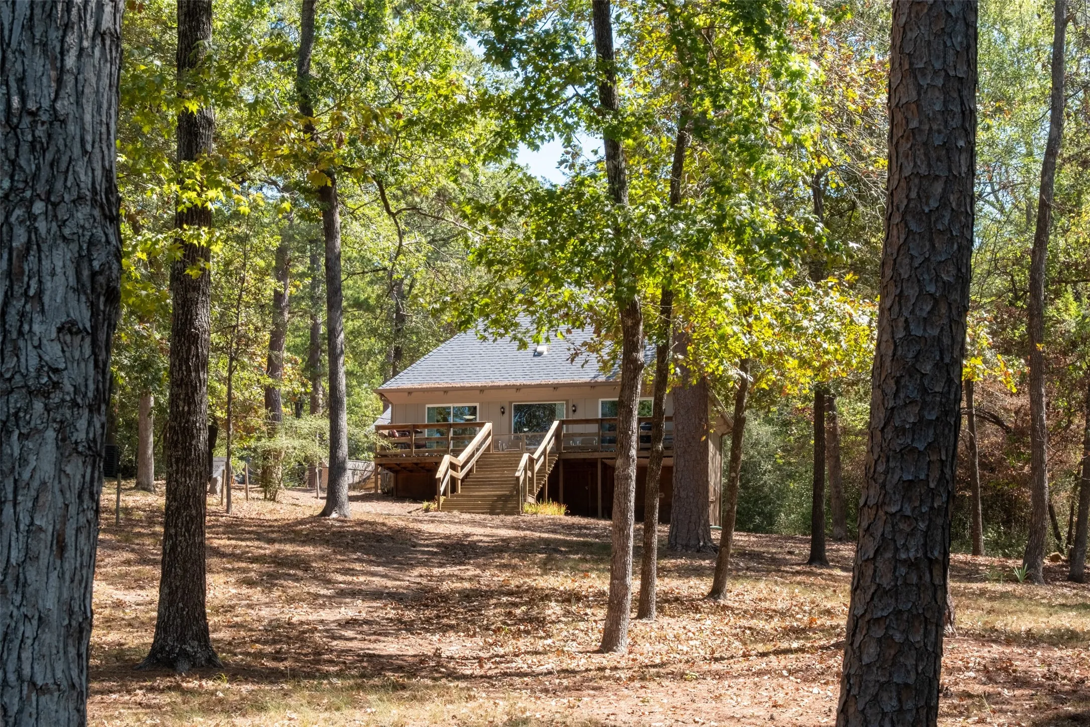 Wooded surroundings with a structure featuring a gray roof, tan exterior, and a wood deck with stairs