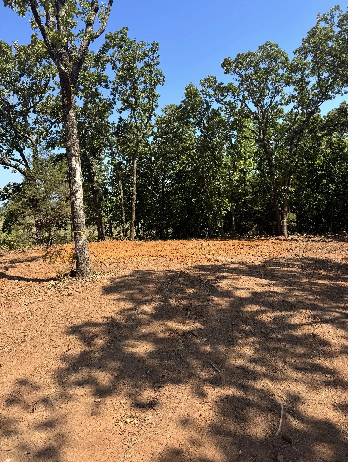 Unimproved Land For Sale in Smith County , 19478 CEDARPARK Place, Lindale, Texas 75771, 0, 0, Garage spaces, 0 Sqft, built in 0, mls#21392837, Real Estate Agent in Lindale, Homes For Sale in Smith county, Homes For Sale in Lindale, Realtor in Lindale Texas, Real Estate Brokerage Independent Realty Texas, Luminita Cordes Realtor