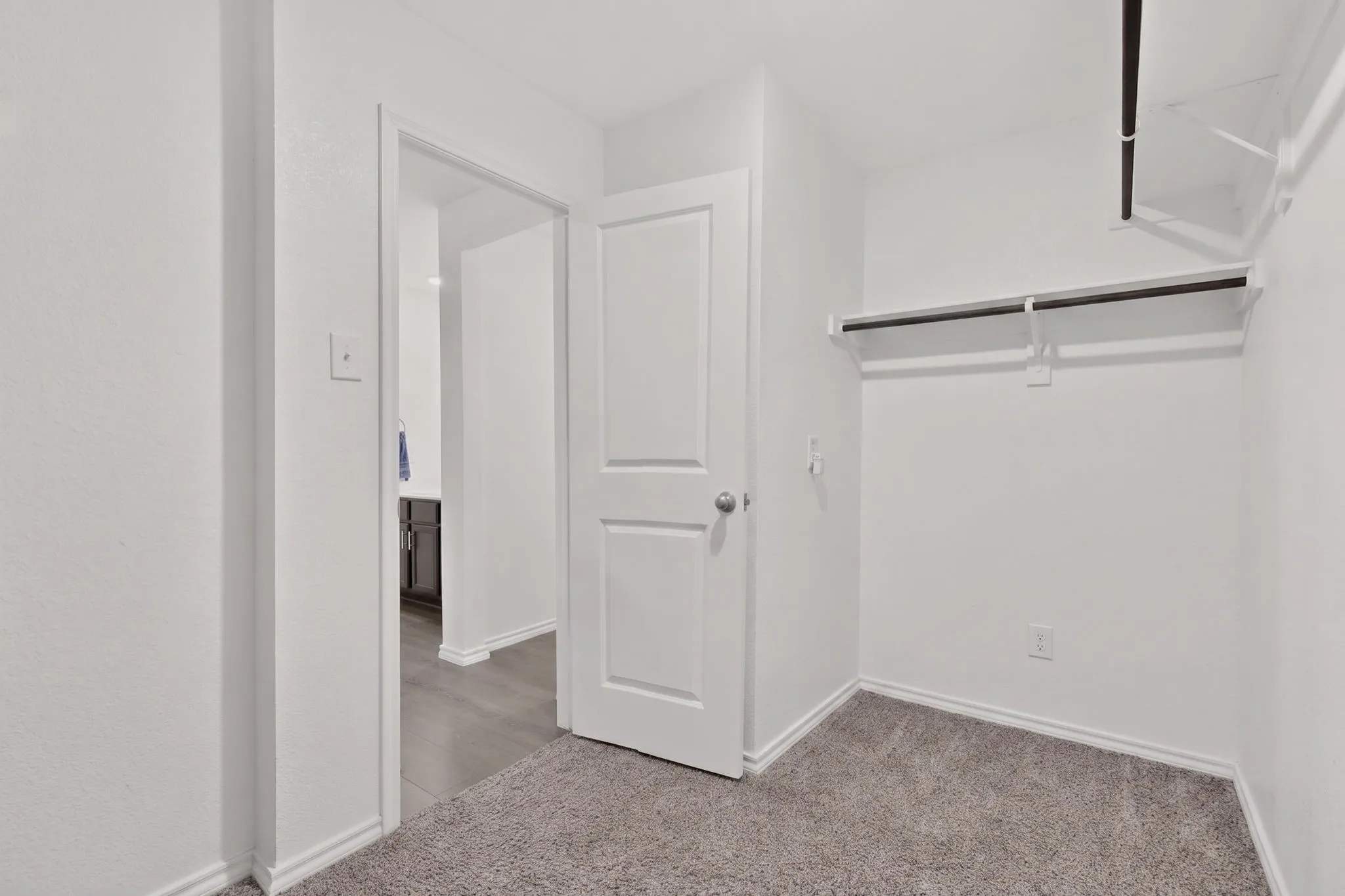 Walk-in closet with carpet flooring and built-in shelving