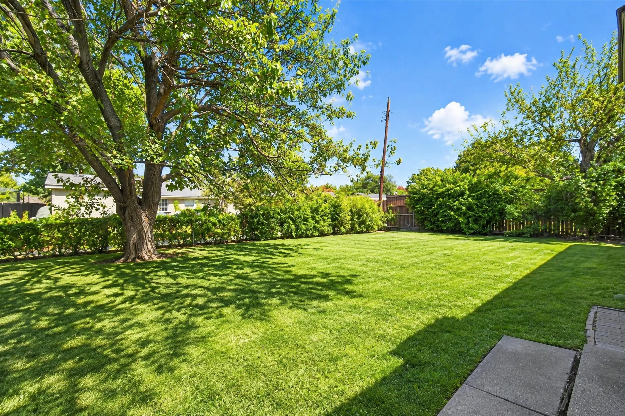 Expansive lawn area with a mature shade tree, perimeter privacy hedging, and a paved patio area