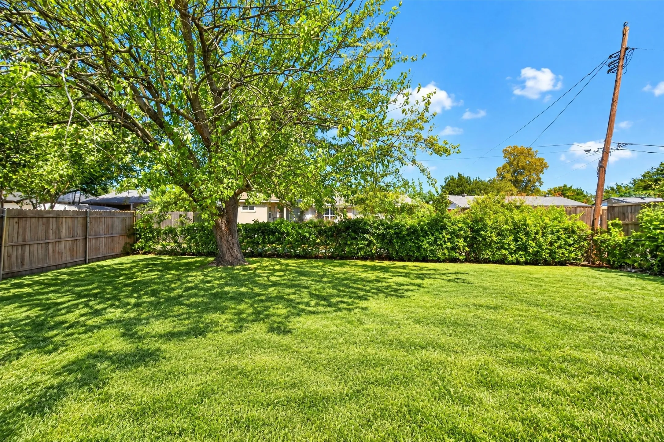 Manicured lawn with mature tree providing natural shade, bordered by a wood fence and dense green shrubs