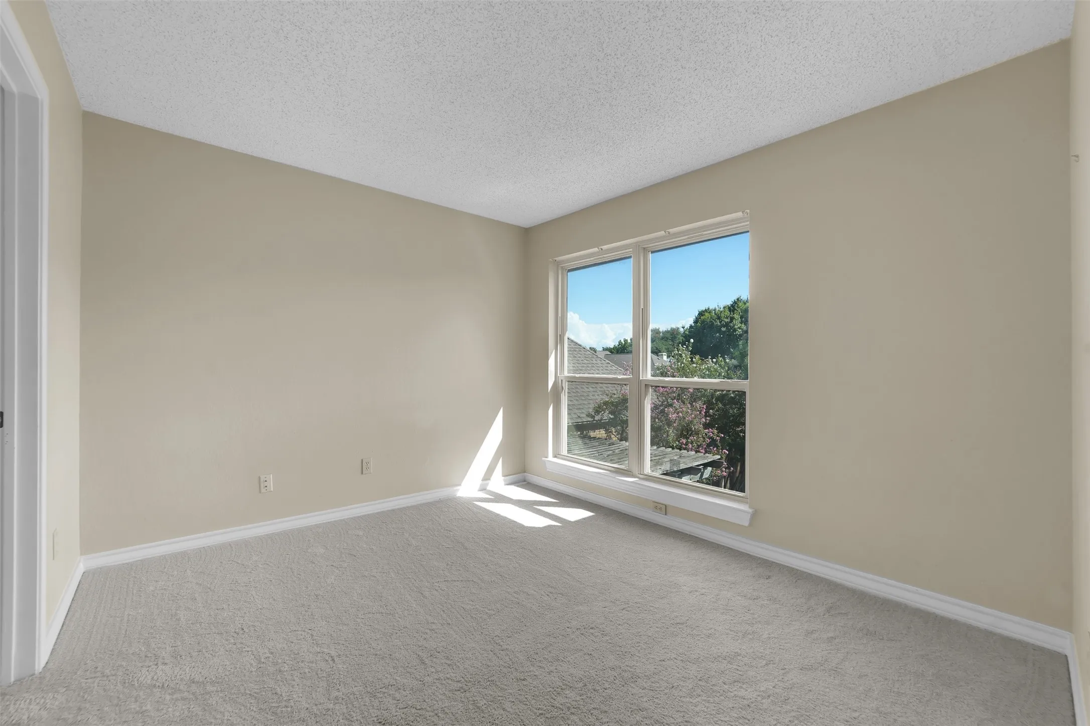 Neutral wall finishes, textured ceiling, light gray carpeting, and a multi-pane window
