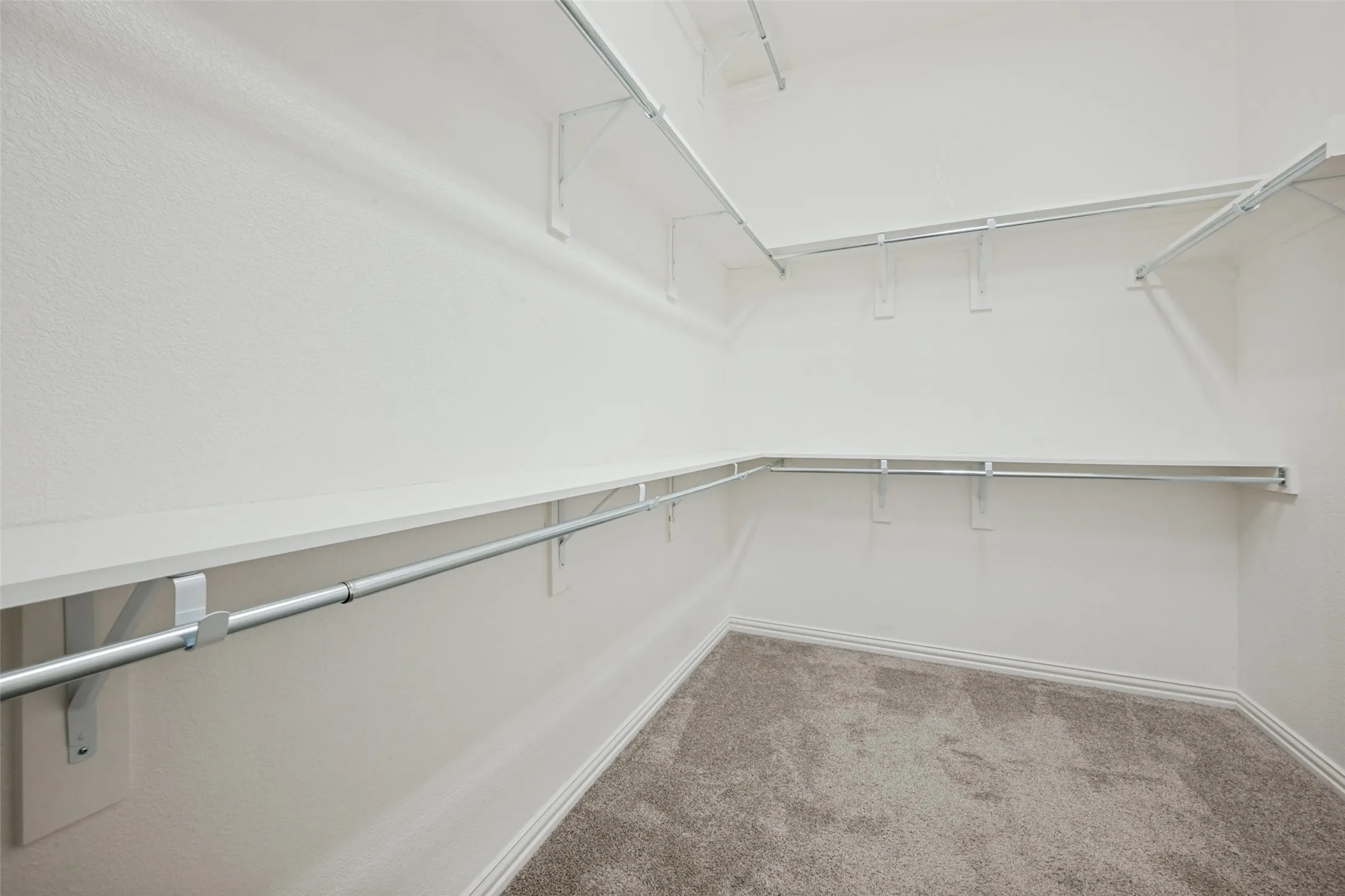 Walk-in closet with ample shelving, multiple hanging rods, and neutral carpet flooring