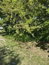 Unimproved Land For Sale in Denton County , 0000 Cove Drive, Shady Shores, Texas 76208, 0, 0, Garage spaces, 0 Sqft, built in 0, mls#21390235, Real Estate Agent in Shady Shores, Homes For Sale in Denton county, Homes For Sale in Shady Shores, Realtor in Shady Shores Texas, Real Estate Brokerage Independent Realty Texas, Luminita Cordes Realtor