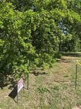 Unimproved Land For Sale in Denton County , 0000 Cove Drive, Shady Shores, Texas 76208, 0, 0, Garage spaces, 0 Sqft, built in 0, mls#21390235, Real Estate Agent in Shady Shores, Homes For Sale in Denton county, Homes For Sale in Shady Shores, Realtor in Shady Shores Texas, Real Estate Brokerage Independent Realty Texas, Luminita Cordes Realtor