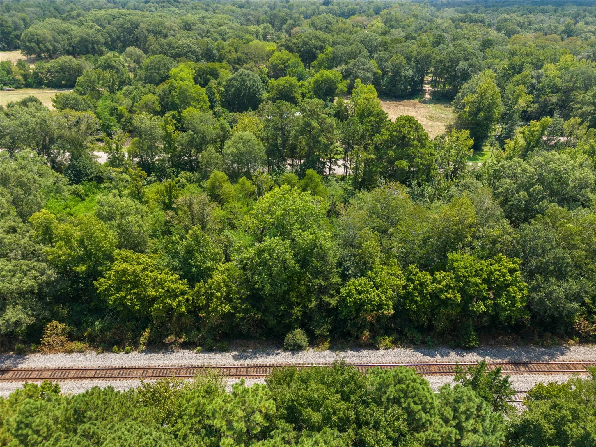 Unimproved Land For Sale in Marion County , 1600 Hwy 49, Jefferson, Texas 75657, 0, 0, Garage spaces, 0 Sqft, built in 0, mls#21393015, Real Estate Agent in Jefferson, Homes For Sale in Marion county, Homes For Sale in Jefferson, Realtor in Jefferson Texas, Real Estate Brokerage Independent Realty Texas, Luminita Cordes Realtor