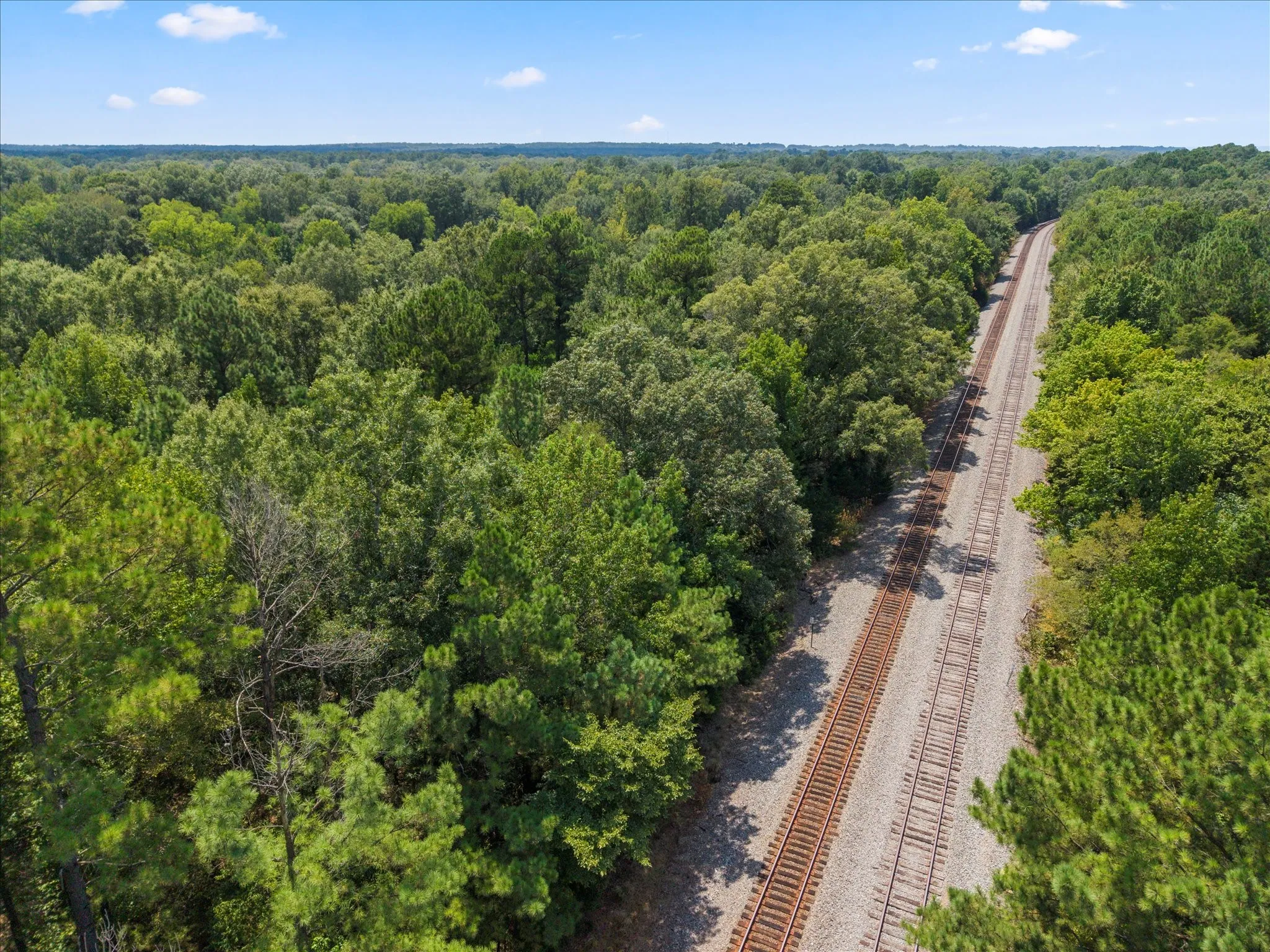 Unimproved Land For Sale in Marion County , 1600 Hwy 49, Jefferson, Texas 75657, 0, 0, Garage spaces, 0 Sqft, built in 0, mls#21393015, Real Estate Agent in Jefferson, Homes For Sale in Marion county, Homes For Sale in Jefferson, Realtor in Jefferson Texas, Real Estate Brokerage Independent Realty Texas, Luminita Cordes Realtor