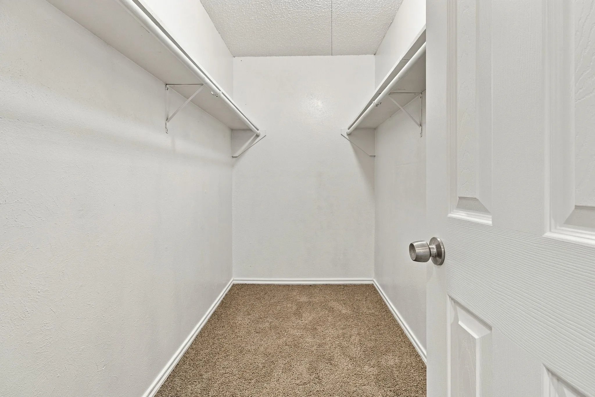 Walk-in closet with carpet flooring, white painted walls, and built-in shelving