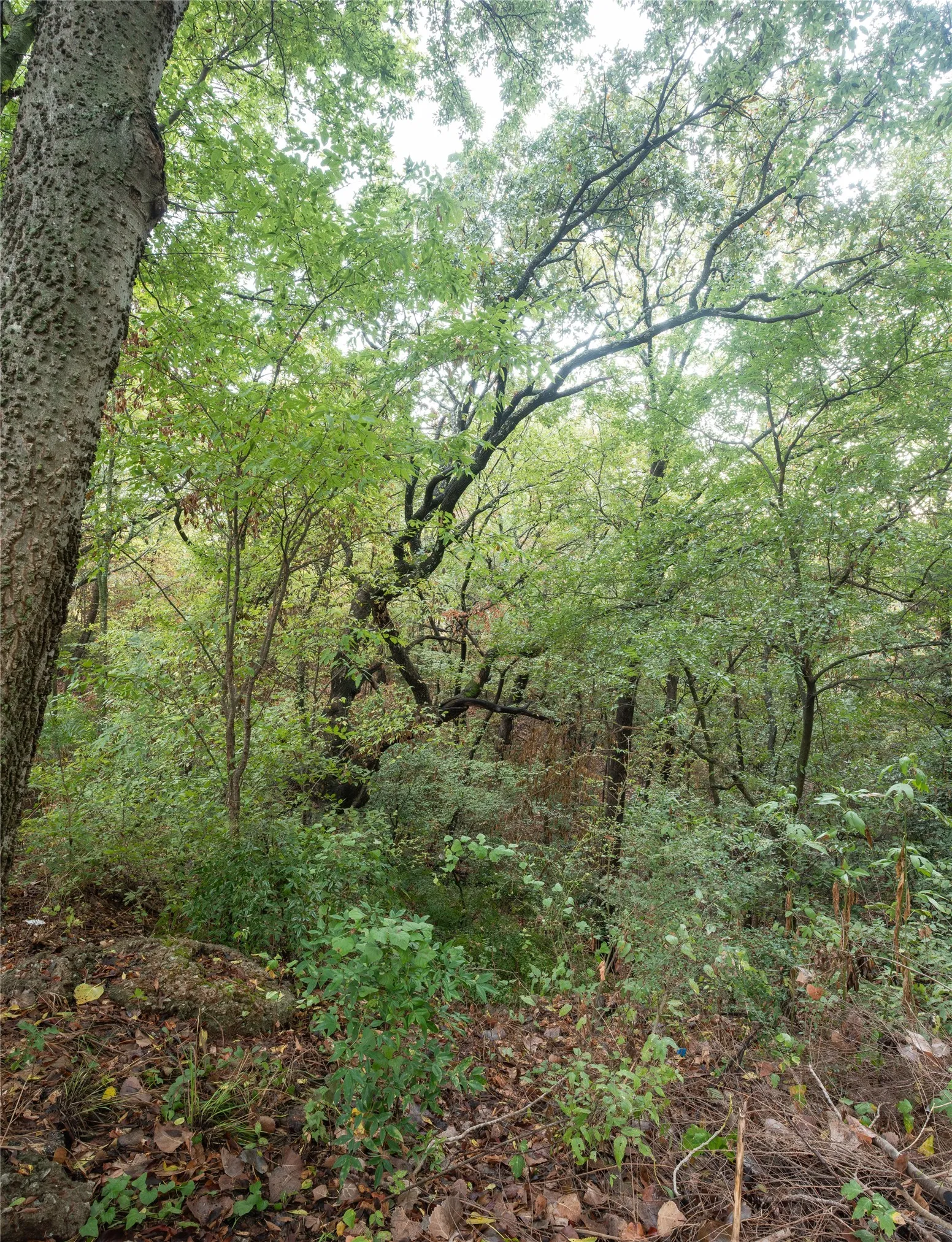 Single Family Residence For Sale in Grayson County , 1600 W Day Street, Denison, Texas 75020, 3 Bedroom, 2 Bathroom, 2 Garage spaces, 1,603 Sqft, built in 2019, mls#21391761, Real Estate Agent in Denison, Homes For Sale in Grayson county, Homes For Sale in Denison, Realtor in Denison Texas, Real Estate Brokerage Independent Realty Texas, Luminita Cordes Realtor