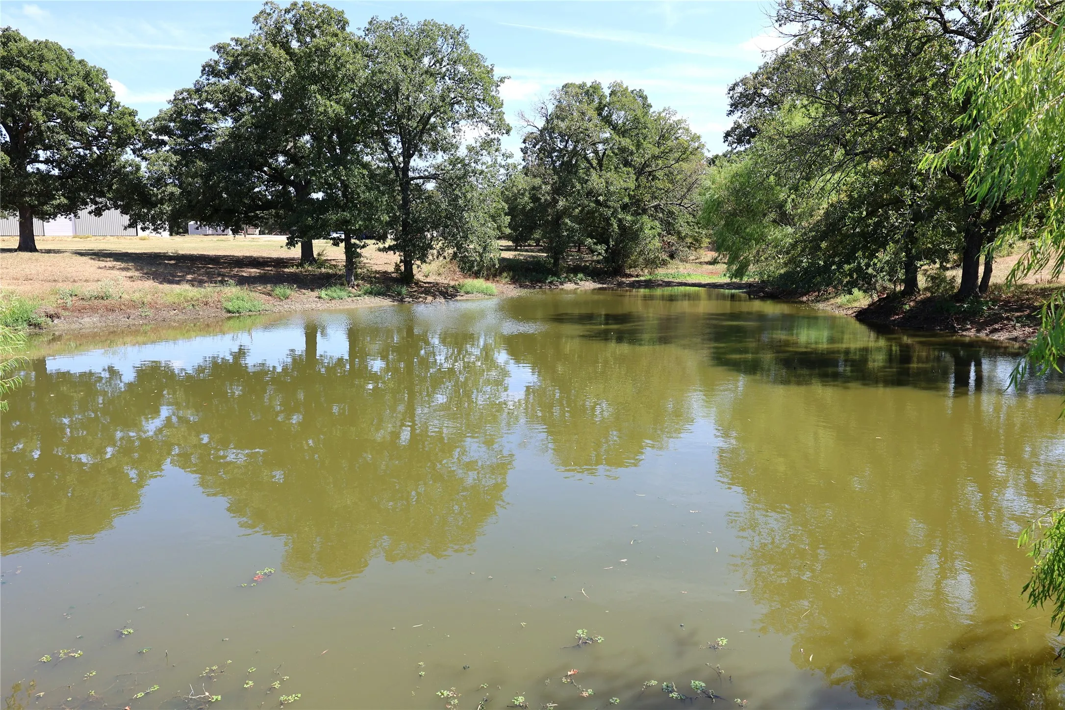 Stocked Fishing Pond