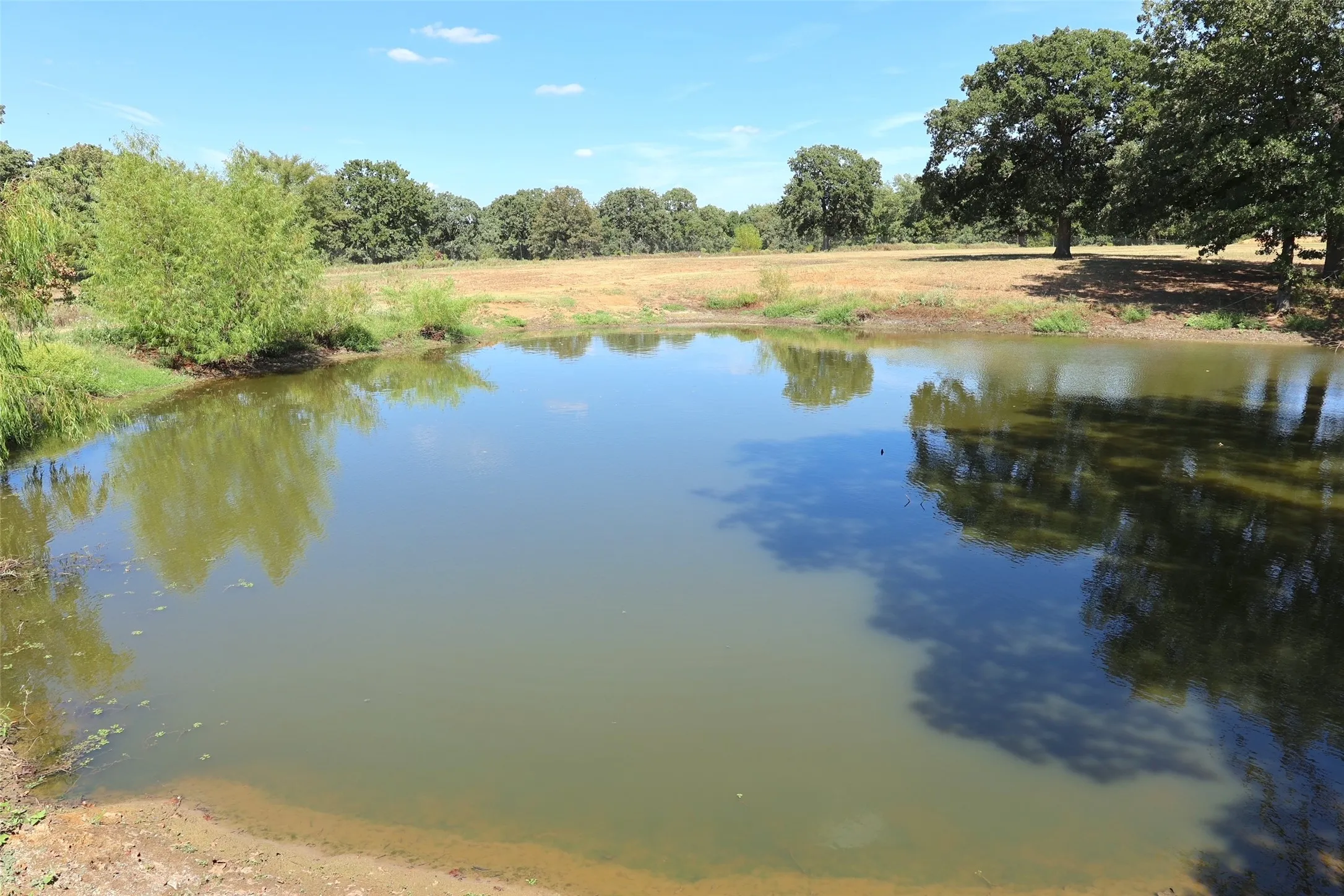 Stocked Fishing Pond