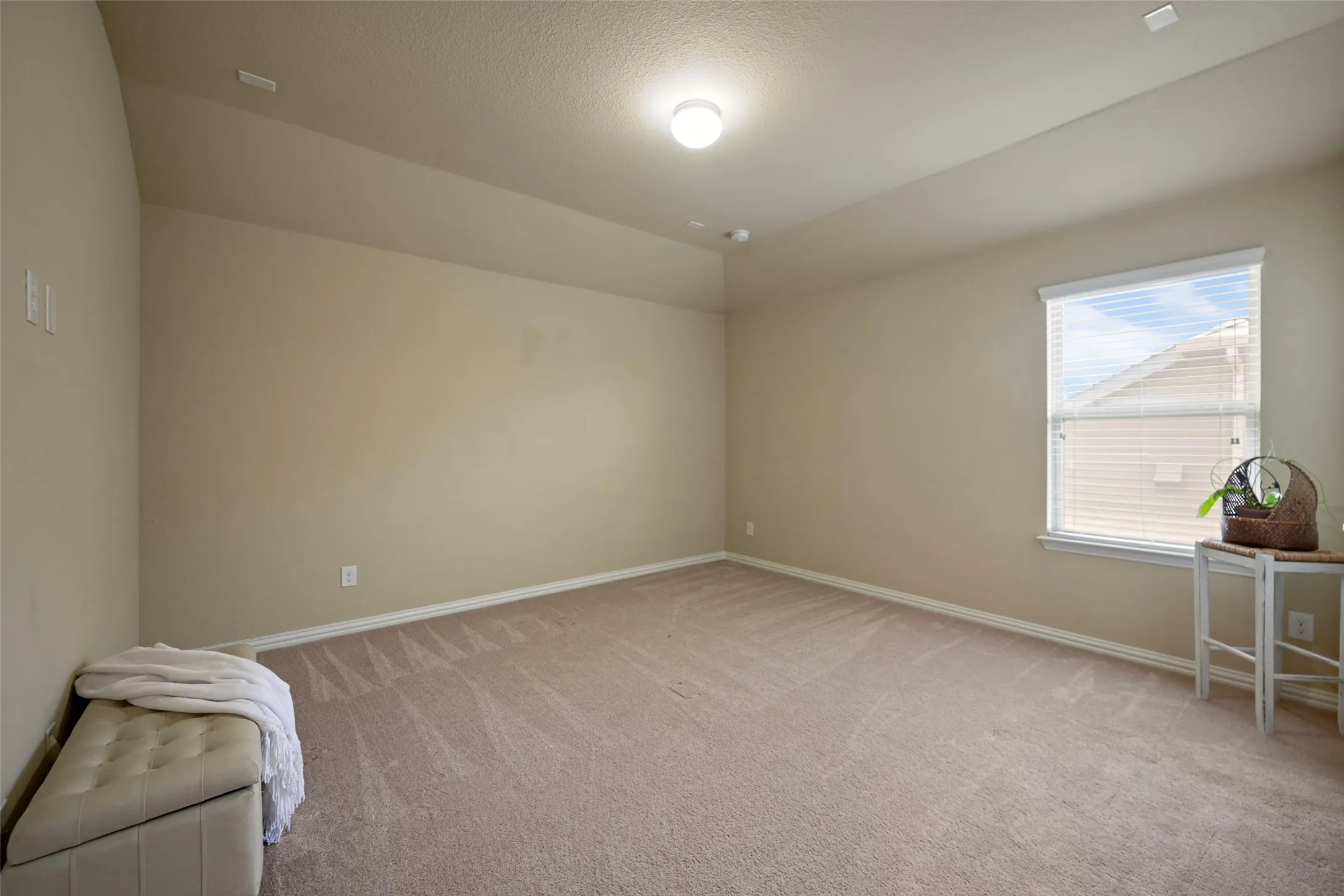 Neutral-toned walls complement the carpeted flooring