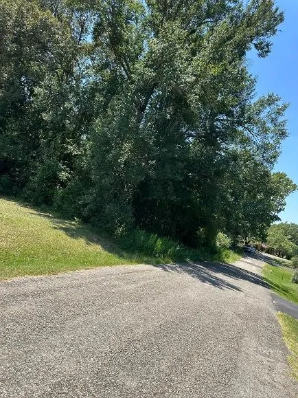 Improved Land For Sale in Anderson County , 0000 Brookhollow Drive, Palestine, Texas 75801, 0, 0, Garage spaces, 0 Sqft, built in 0, mls#21364099, Real Estate Agent in Palestine, Homes For Sale in Anderson county, Homes For Sale in Palestine, Realtor in Palestine Texas, Real Estate Brokerage Independent Realty Texas, Luminita Cordes Realtor
