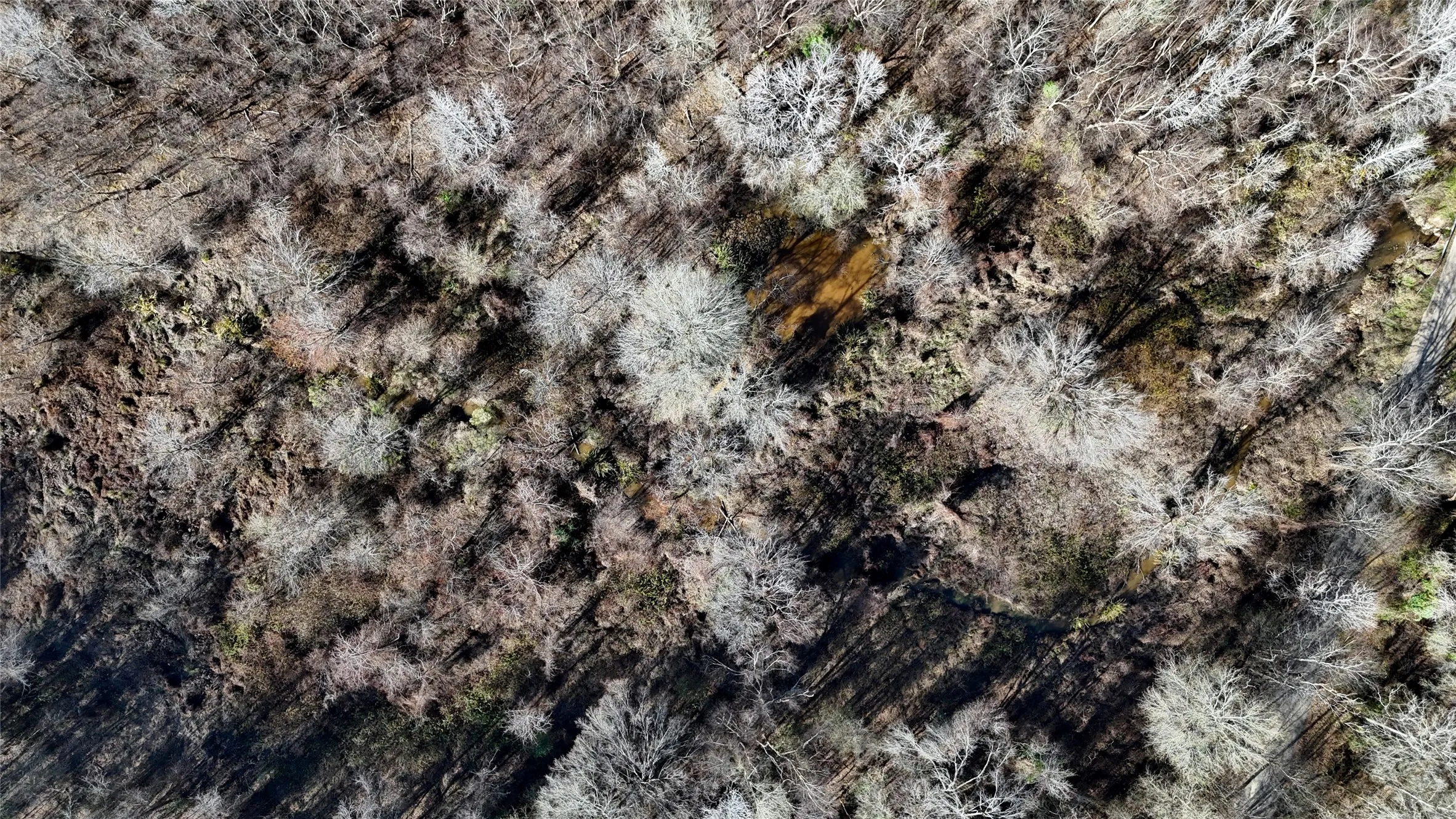 Unimproved Land For Sale in Henderson County , TBD County Road 3801, Athens, Texas 75752, 0, 0, Garage spaces, 0 Sqft, built in 0, mls#21393109, Real Estate Agent in Athens, Homes For Sale in Henderson county, Homes For Sale in Athens, Realtor in Athens Texas, Real Estate Brokerage Independent Realty Texas, Luminita Cordes Realtor