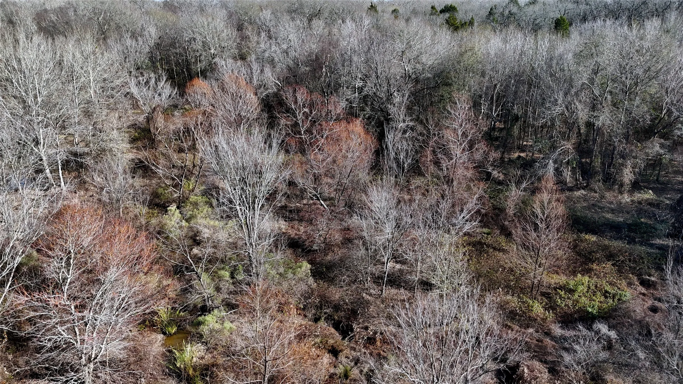 Unimproved Land For Sale in Henderson County , TBD County Road 3801, Athens, Texas 75752, 0, 0, Garage spaces, 0 Sqft, built in 0, mls#21393109, Real Estate Agent in Athens, Homes For Sale in Henderson county, Homes For Sale in Athens, Realtor in Athens Texas, Real Estate Brokerage Independent Realty Texas, Luminita Cordes Realtor