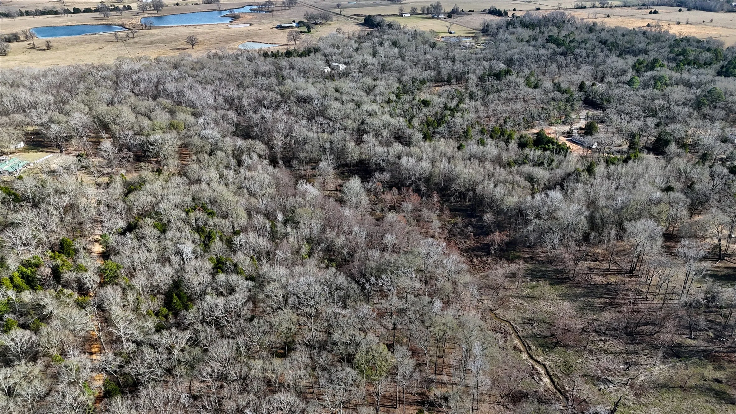 Unimproved Land For Sale in Henderson County , TBD County Road 3801, Athens, Texas 75752, 0, 0, Garage spaces, 0 Sqft, built in 0, mls#21393109, Real Estate Agent in Athens, Homes For Sale in Henderson county, Homes For Sale in Athens, Realtor in Athens Texas, Real Estate Brokerage Independent Realty Texas, Luminita Cordes Realtor