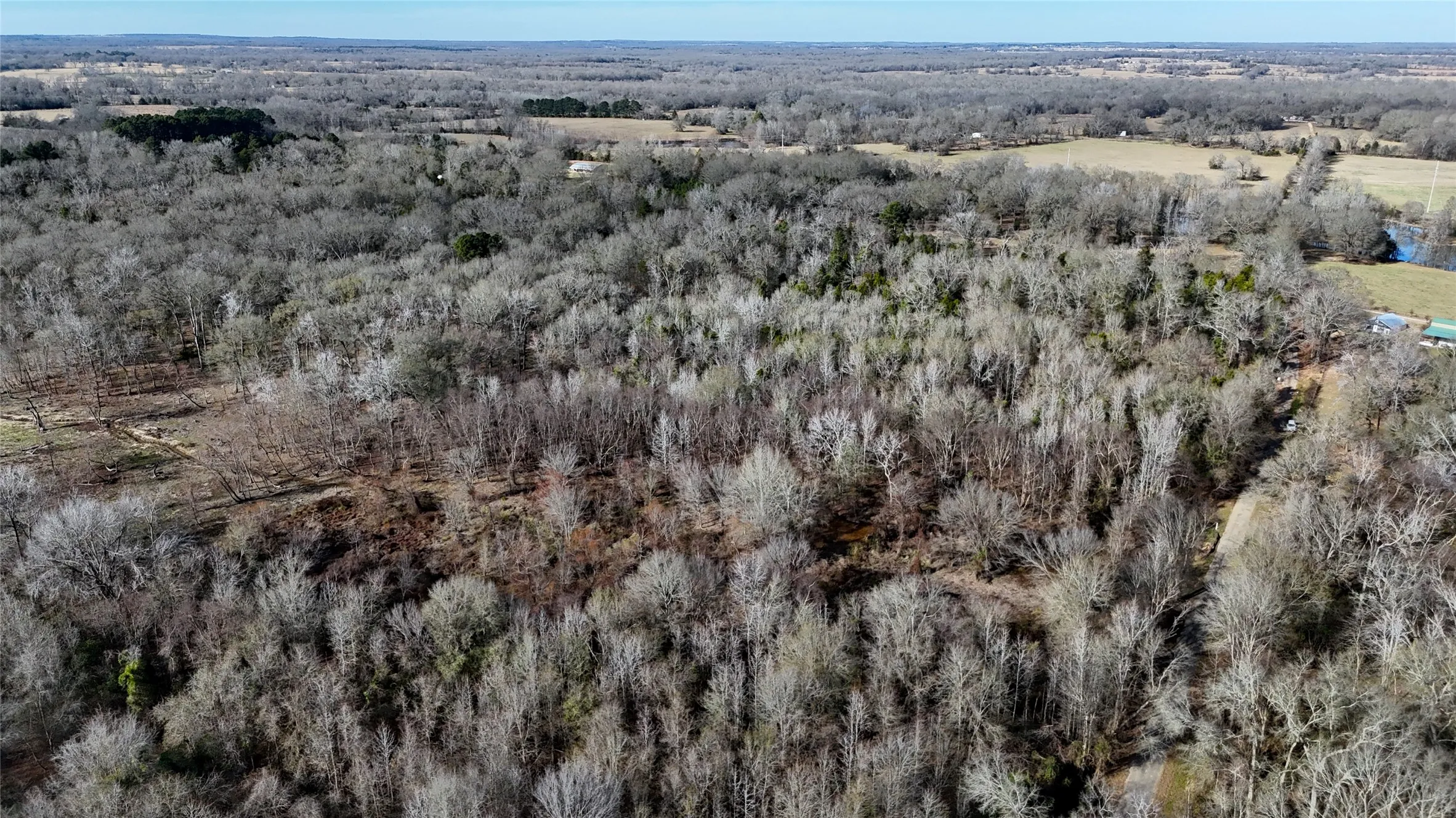 Unimproved Land For Sale in Henderson County , TBD County Road 3801, Athens, Texas 75752, 0, 0, Garage spaces, 0 Sqft, built in 0, mls#21393109, Real Estate Agent in Athens, Homes For Sale in Henderson county, Homes For Sale in Athens, Realtor in Athens Texas, Real Estate Brokerage Independent Realty Texas, Luminita Cordes Realtor