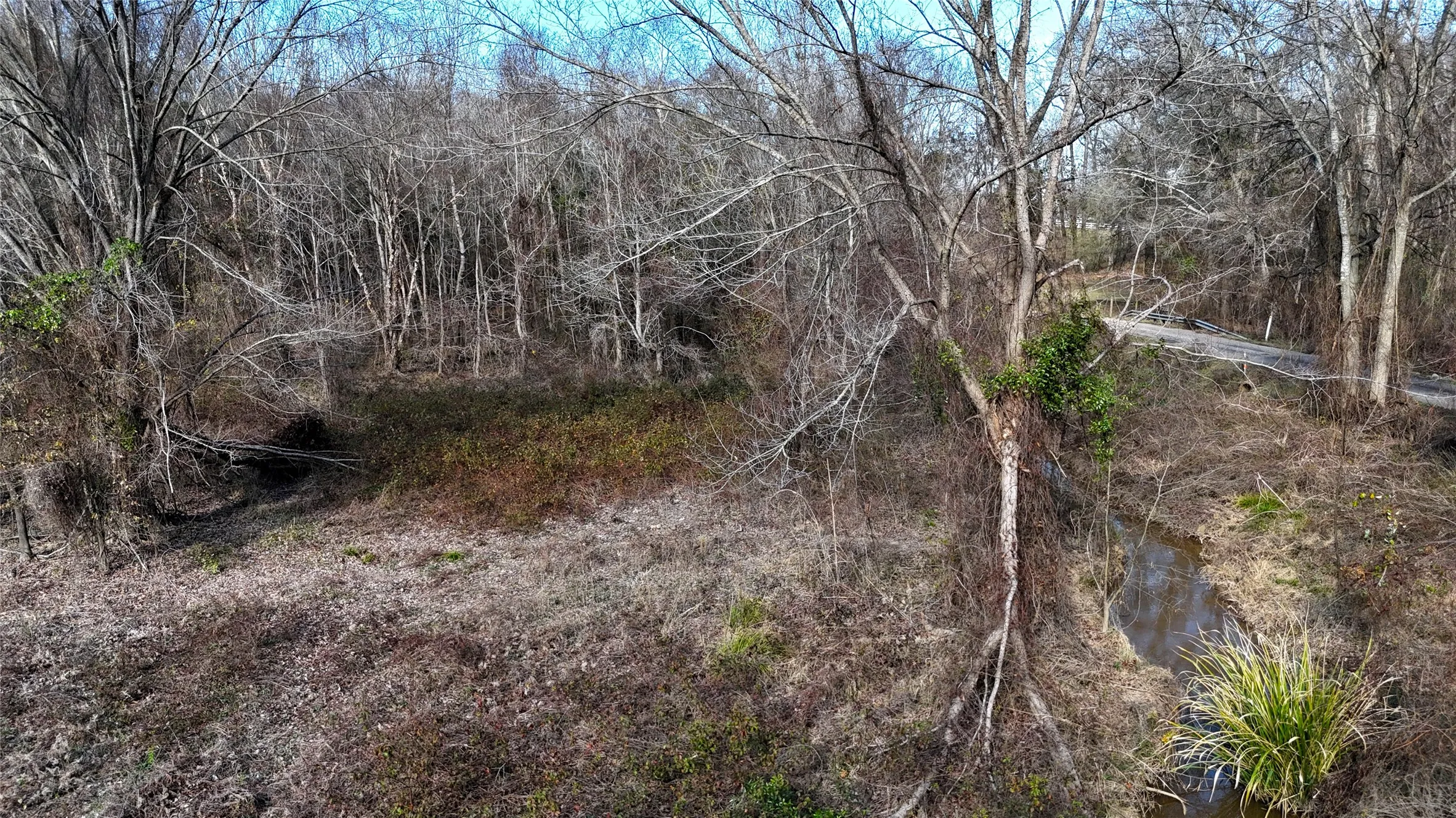 Unimproved Land For Sale in Henderson County , TBD County Road 3801, Athens, Texas 75752, 0, 0, Garage spaces, 0 Sqft, built in 0, mls#21393109, Real Estate Agent in Athens, Homes For Sale in Henderson county, Homes For Sale in Athens, Realtor in Athens Texas, Real Estate Brokerage Independent Realty Texas, Luminita Cordes Realtor