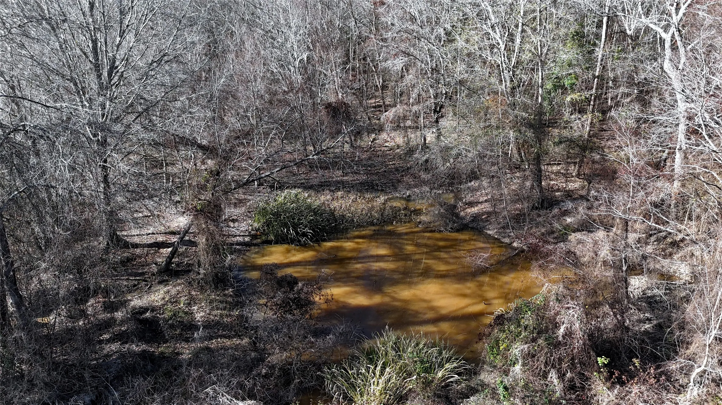 Unimproved Land For Sale in Henderson County , TBD County Road 3801, Athens, Texas 75752, 0, 0, Garage spaces, 0 Sqft, built in 0, mls#21393109, Real Estate Agent in Athens, Homes For Sale in Henderson county, Homes For Sale in Athens, Realtor in Athens Texas, Real Estate Brokerage Independent Realty Texas, Luminita Cordes Realtor