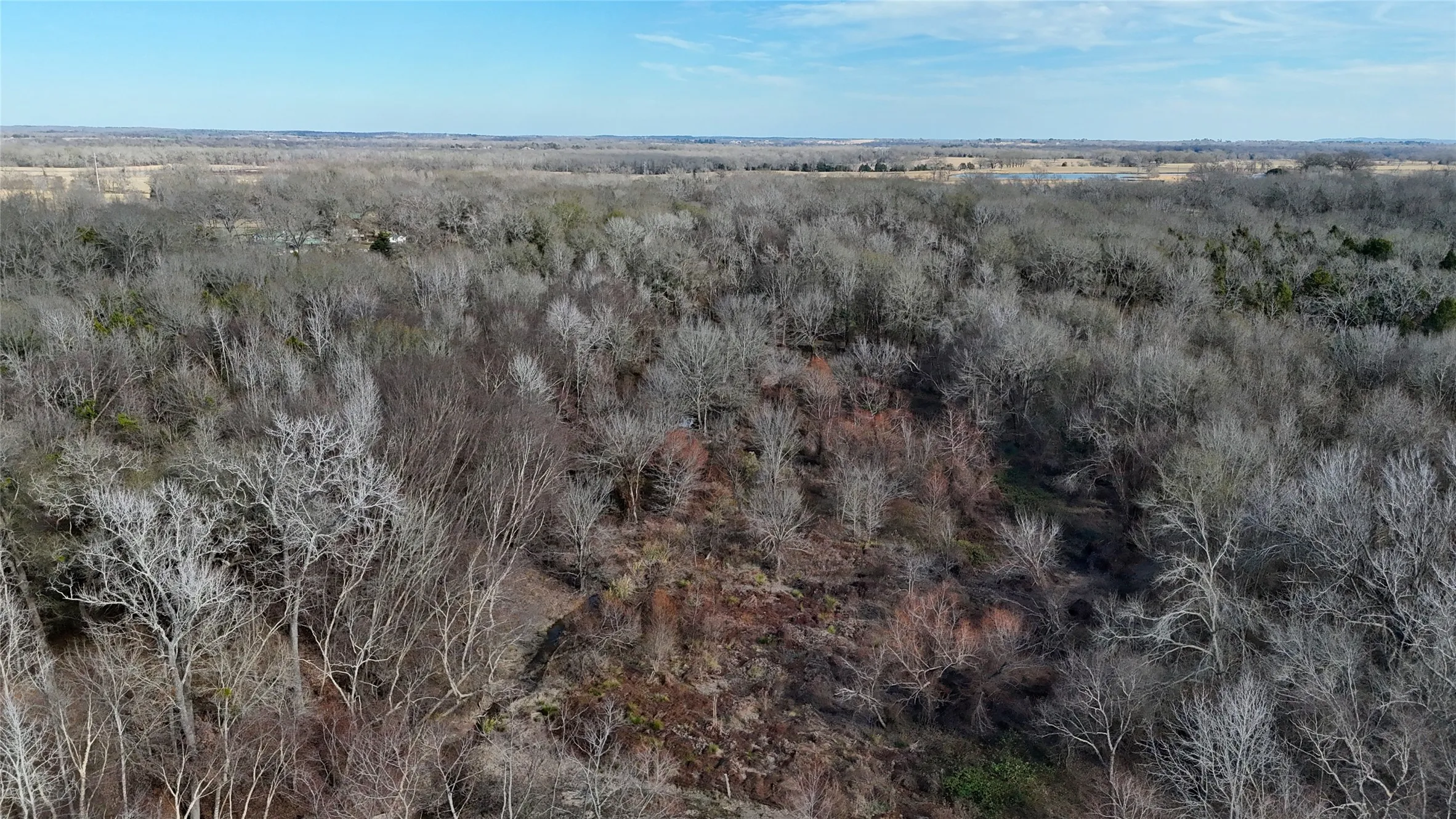 Unimproved Land For Sale in Henderson County , TBD County Road 3801, Athens, Texas 75752, 0, 0, Garage spaces, 0 Sqft, built in 0, mls#21393109, Real Estate Agent in Athens, Homes For Sale in Henderson county, Homes For Sale in Athens, Realtor in Athens Texas, Real Estate Brokerage Independent Realty Texas, Luminita Cordes Realtor