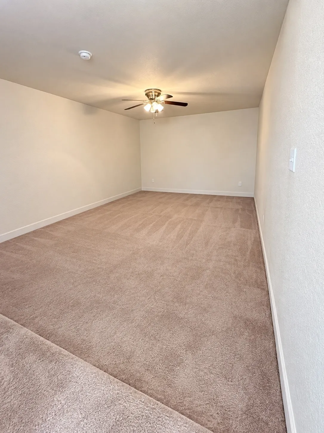 Living Room/Family Room