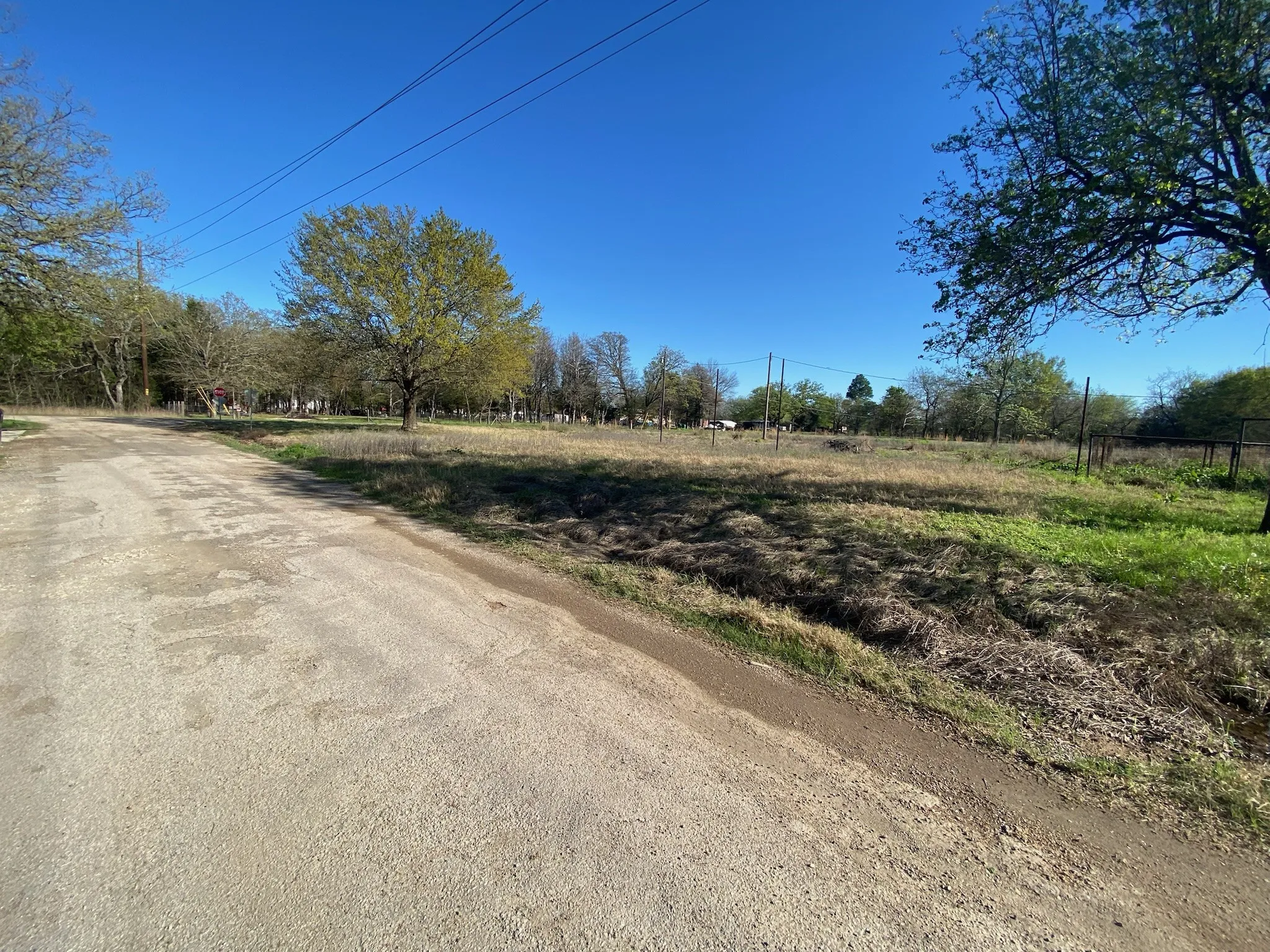 Expansive open land with a clear blue sky, mature trees, and existing fencing