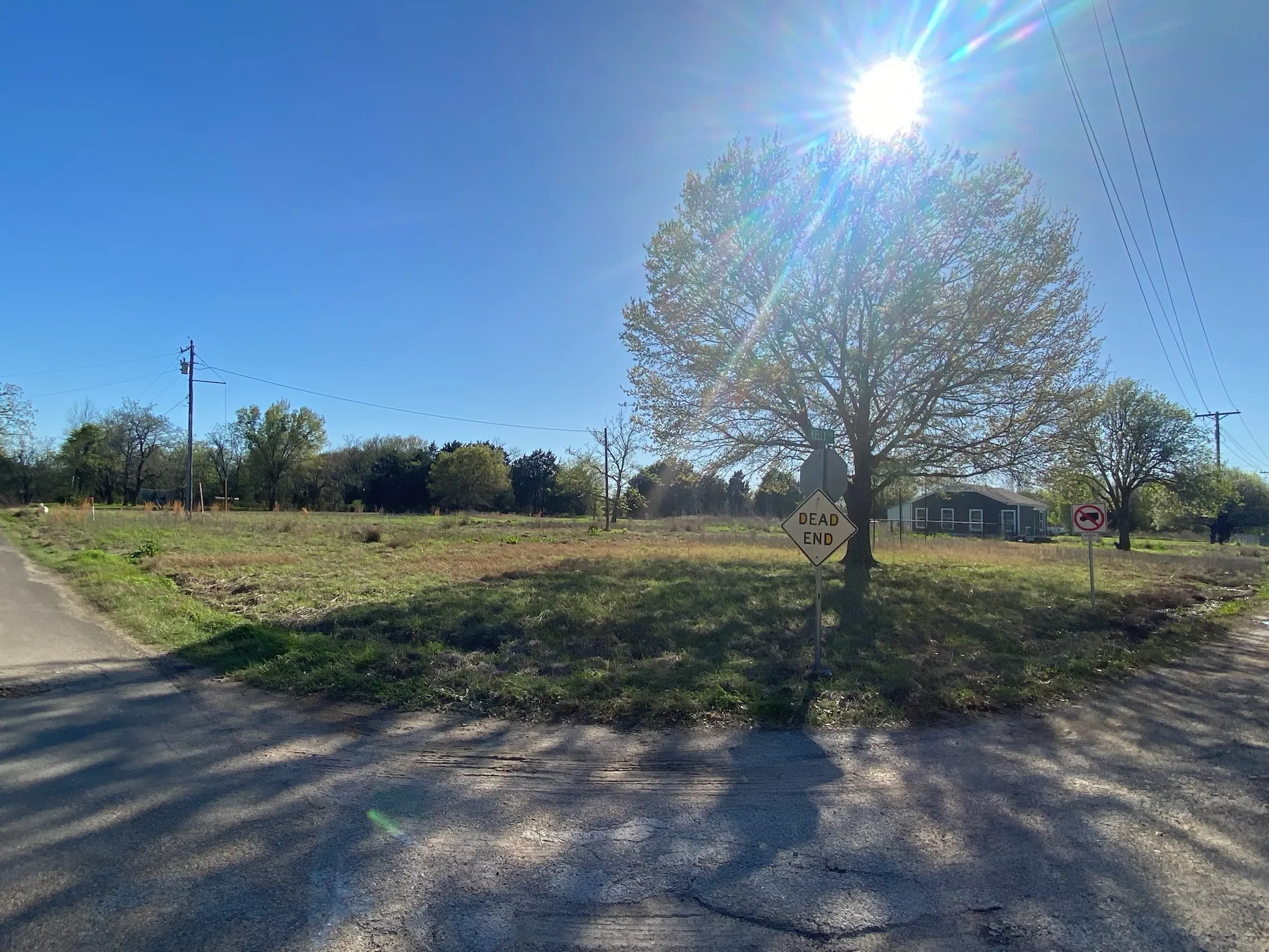 Expansive lot featuring a large tree and clear blue sky
