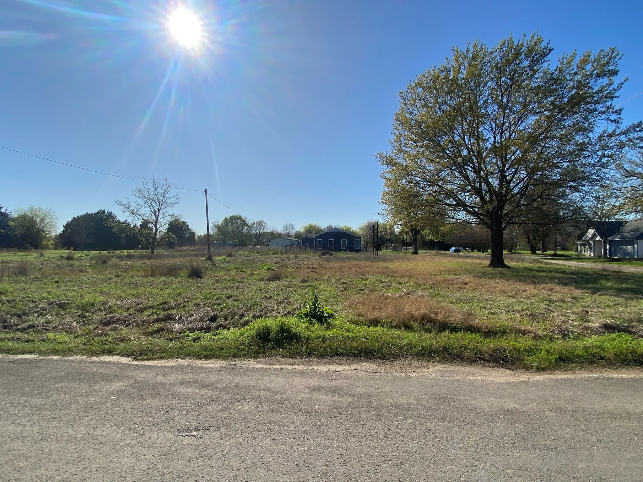 Expansive open lot with mature trees and a clear sky