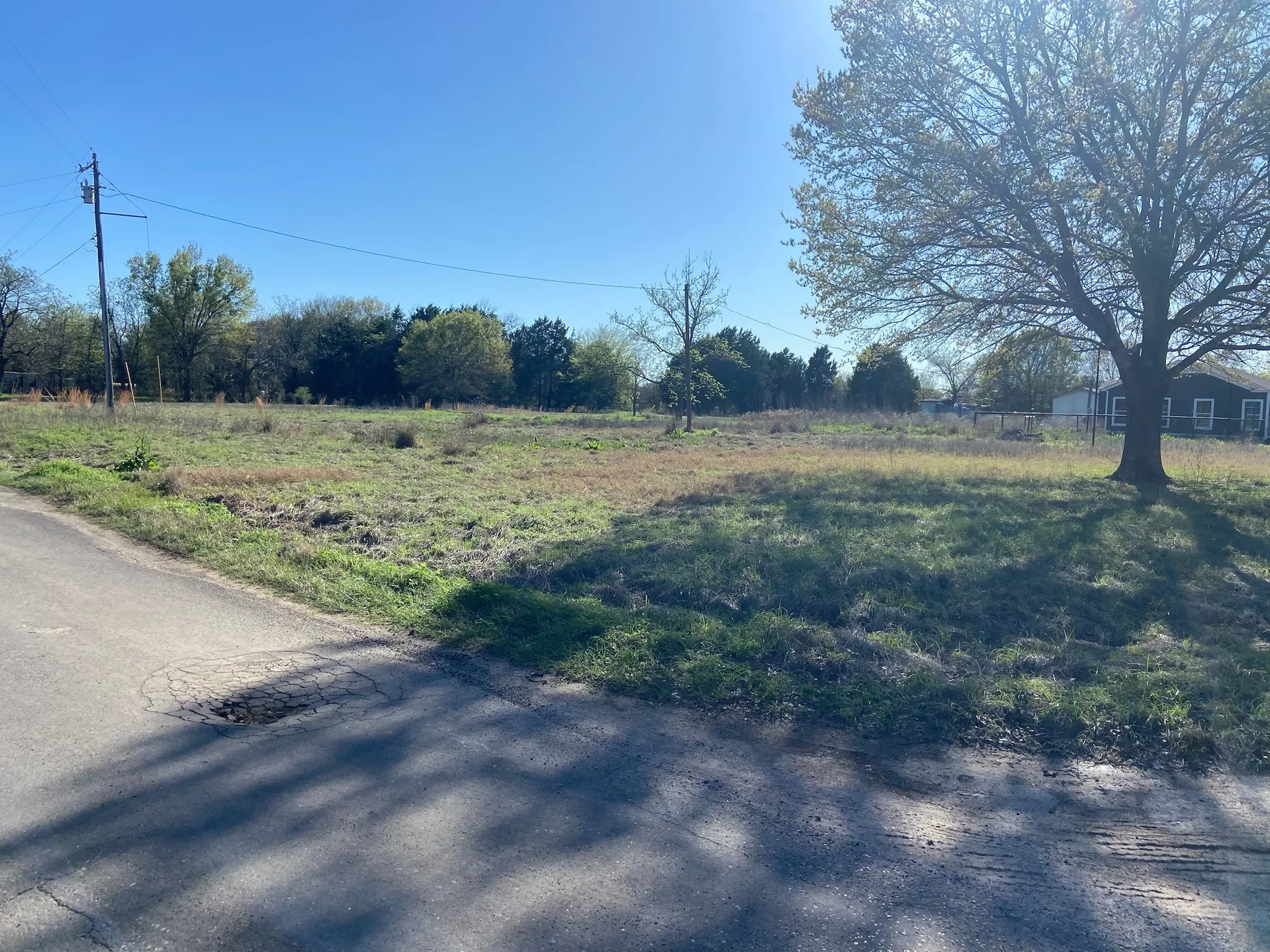 Expansive grassy lot with mature trees