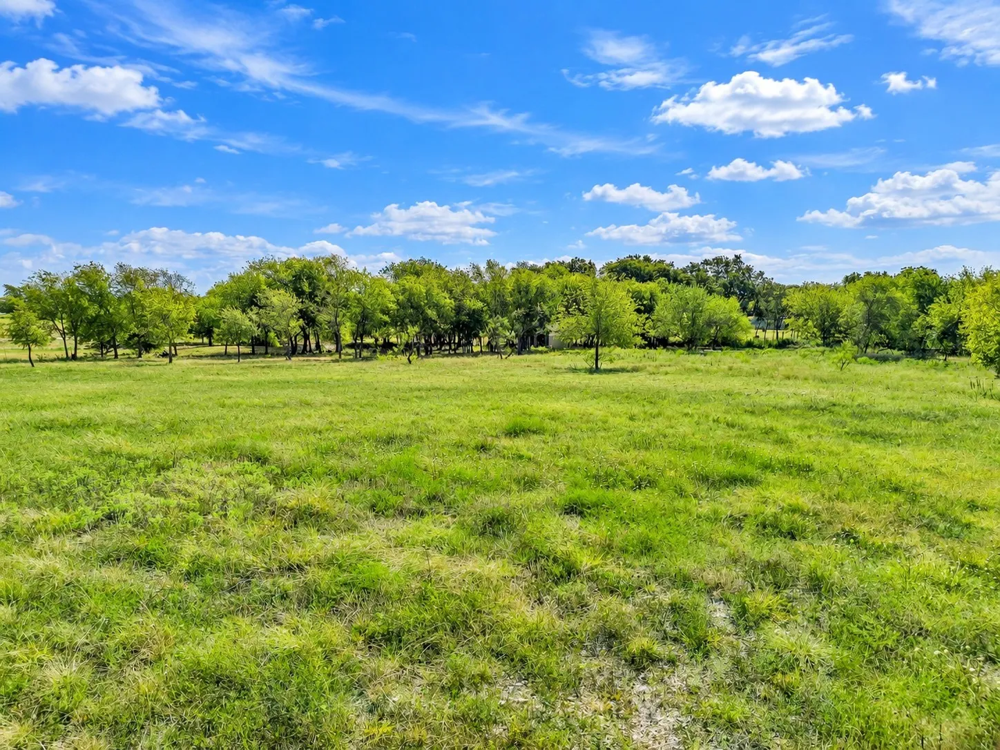 Build your dream house in the trees.