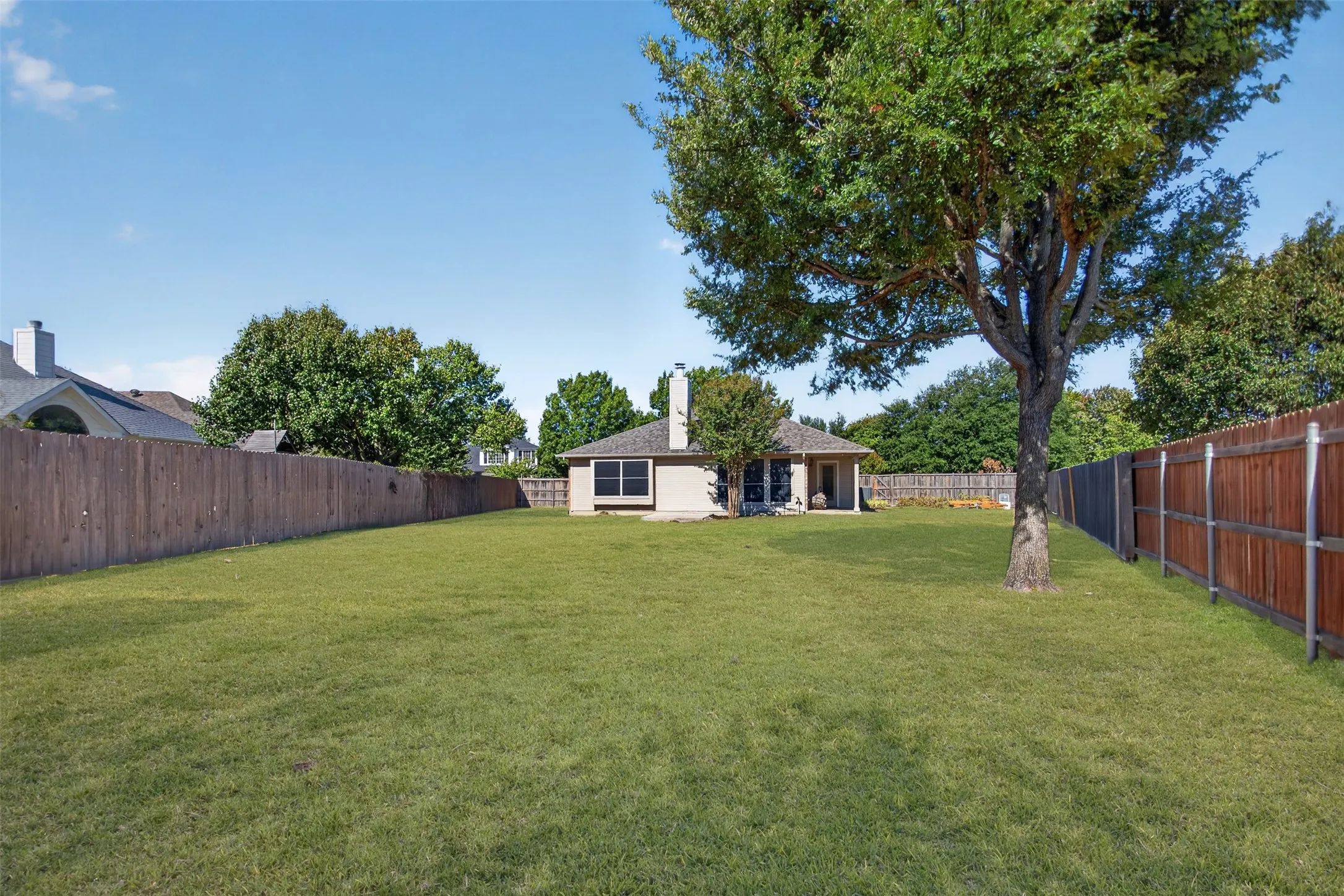 View from back of the yard