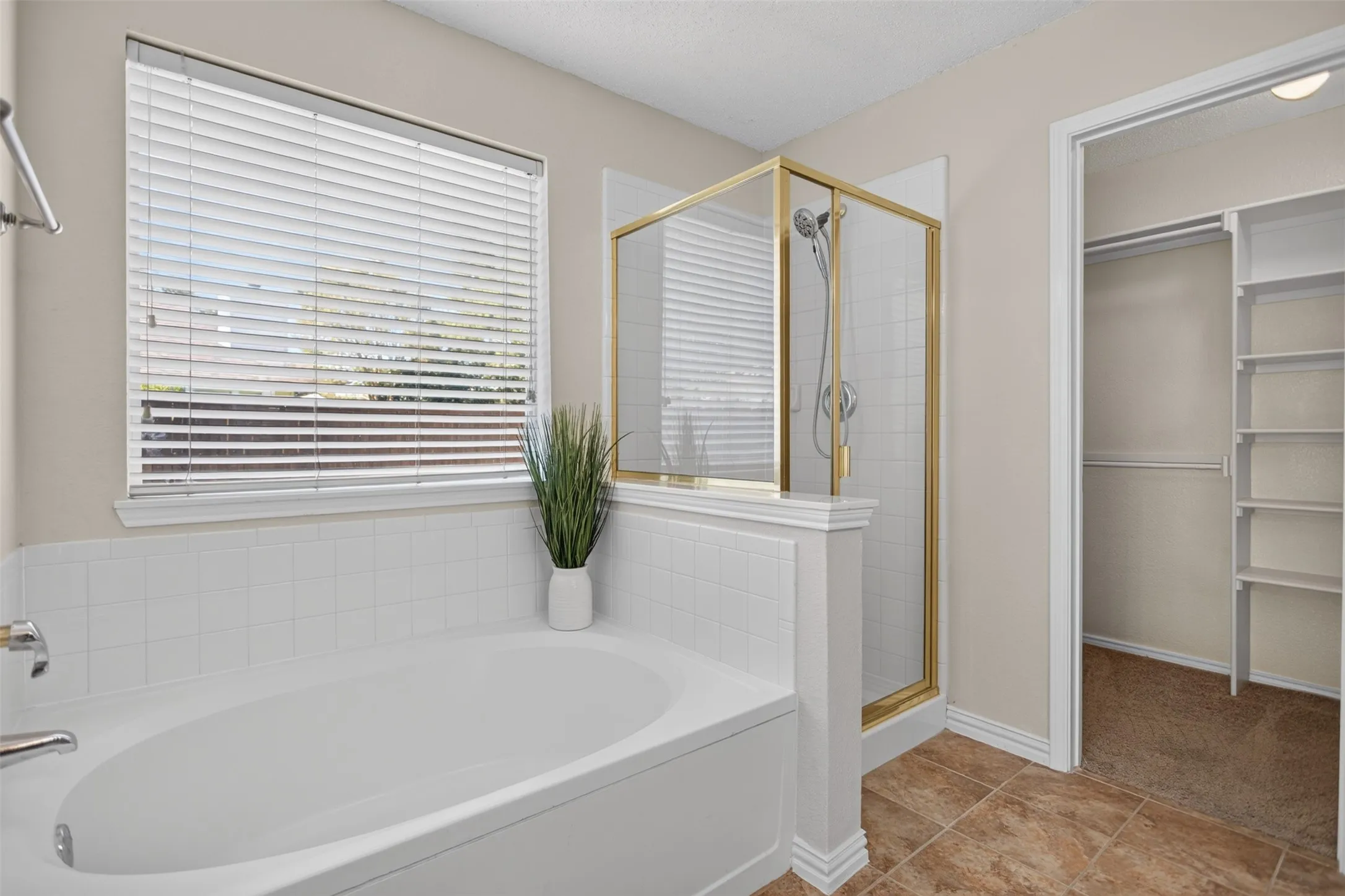 Separate shower and soaker tub
