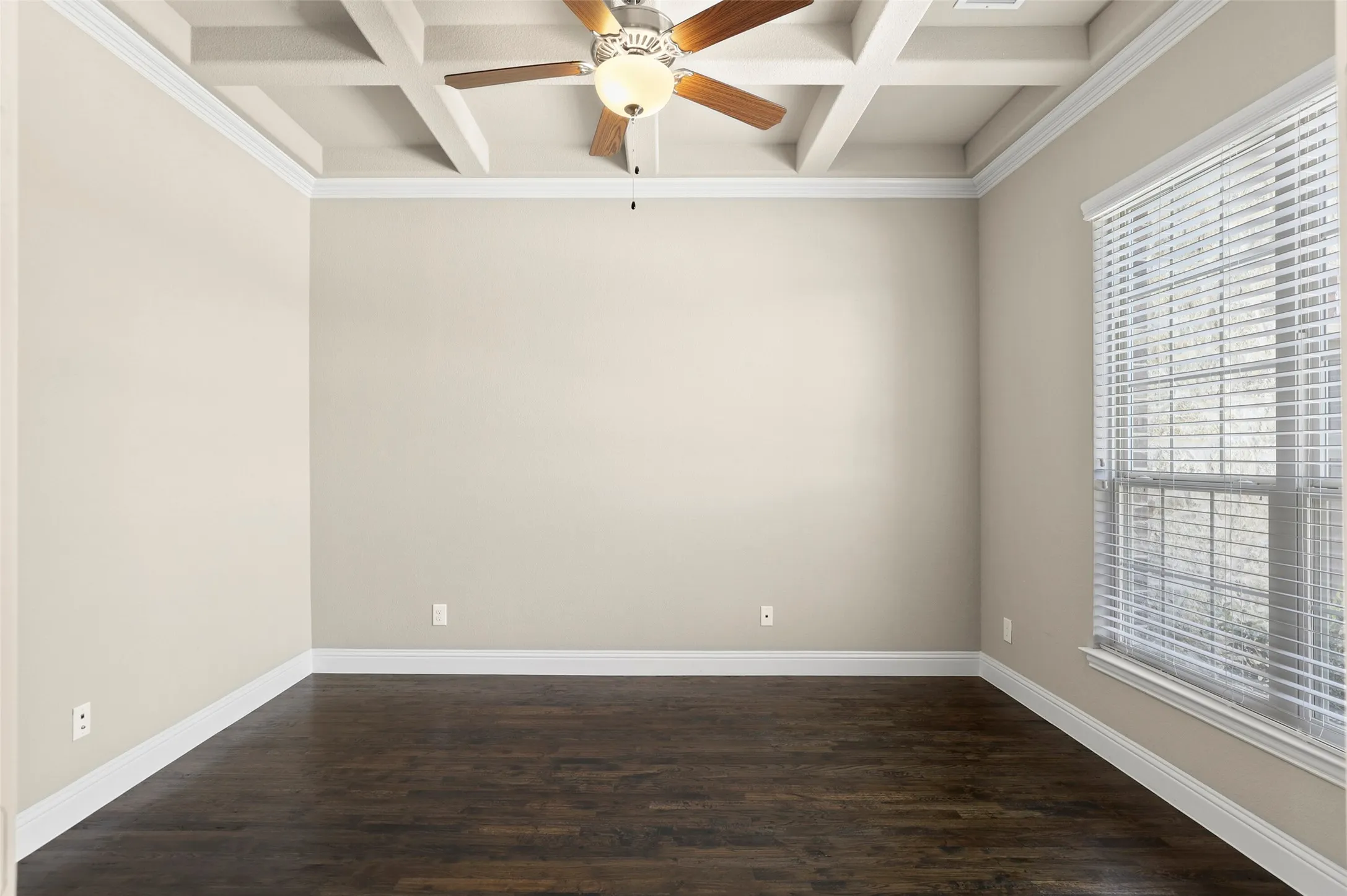 spacious office