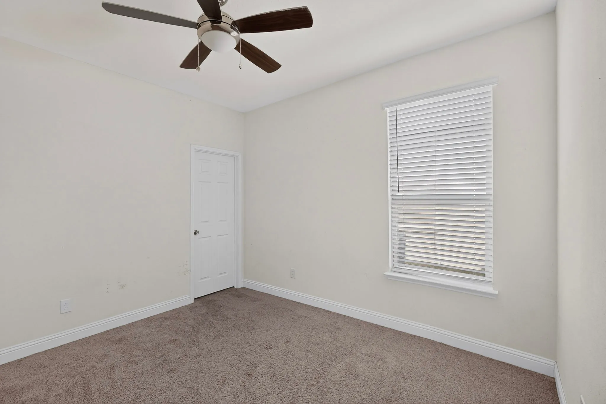 Neutral-toned carpeting with white baseboards, a single window with blinds, and a paneled door