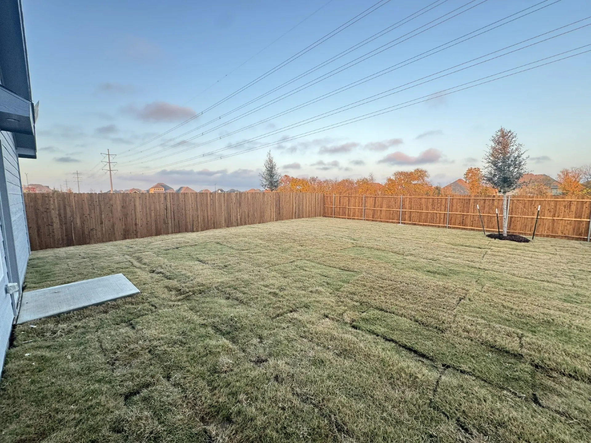 Expansive backyard with a newly sodded lawn, perimeter wood fencing, and a newly planted tree